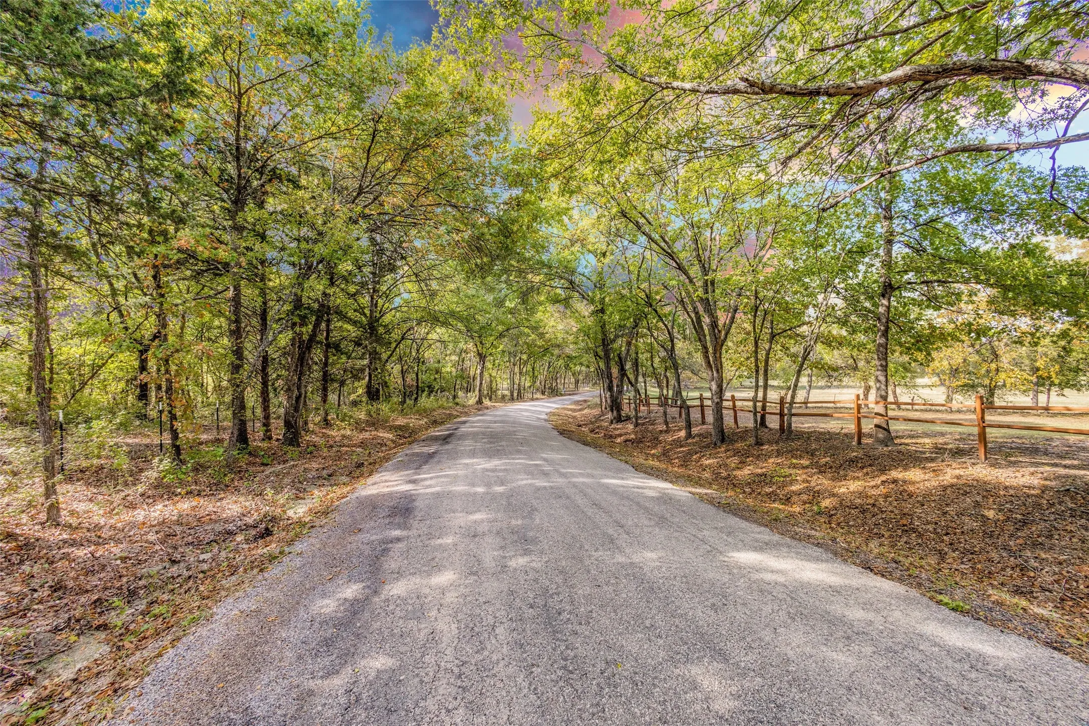 The Drive Up to the Acreage is MAGICAL! A Winding, Paved Road with Stunning Trees. The Perfect Escape!