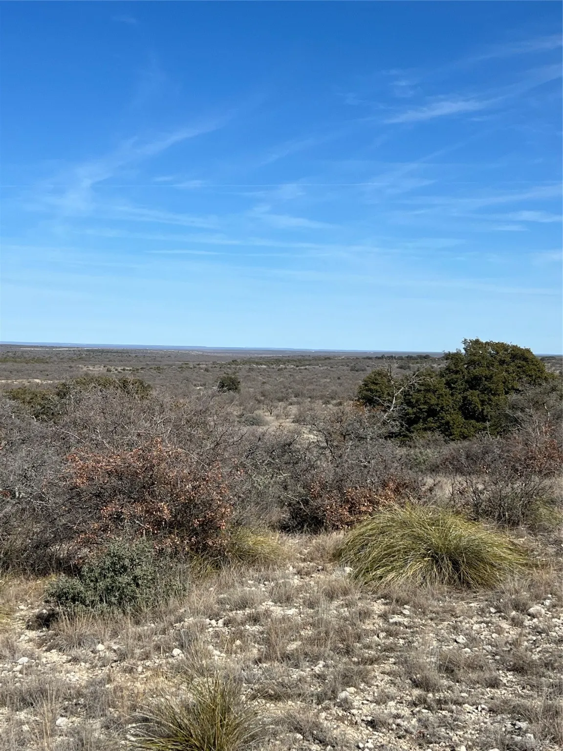 View of undeveloped land