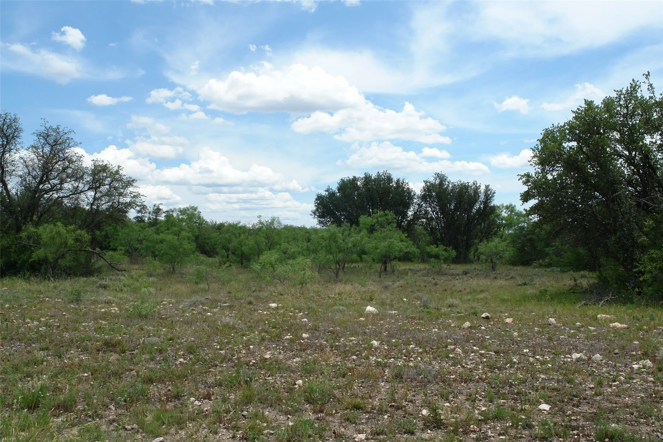 Ranch For Sale in Concho County , 3135 CR 4131, Eden, Texas 76837, 0, 0, Garage spaces, 0 Sqft, built in 0, Price $296,771, mls#21113771, Real Estate Agent in Eden, Homes For Sale in Concho county, Homes For Sale in Eden, Realtor in Eden Texas, Real Estate Brokerage Independent Realty Texas, Luminita Cordes Realtor