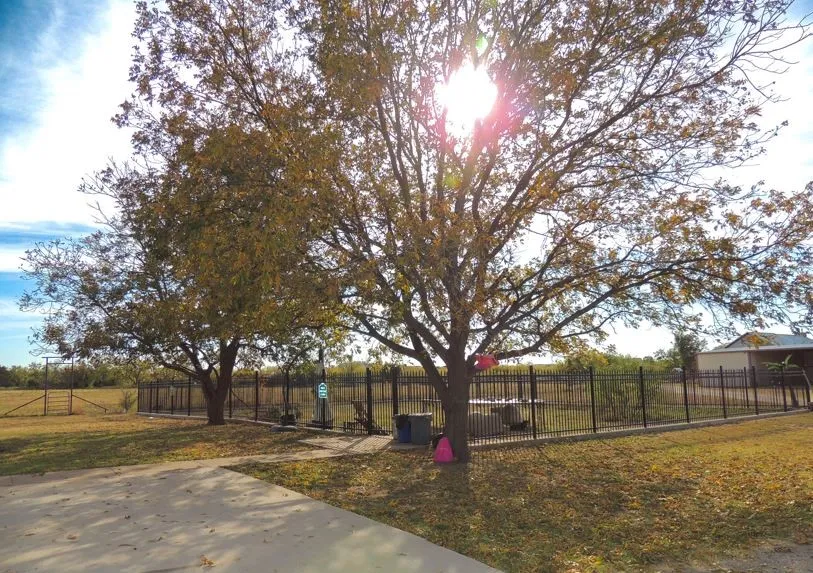 Single Family Residence For Sale in Taylor County , 150 CR 676, Tuscola, Texas 79562, 3 Bedrooms, 2 Bathrooms, 2 Garage spaces, 2,830 Sqft, built in 1993, Price $539,900, mls#21113786, Real Estate Agent in Tuscola, Homes For Sale in Taylor county, Homes For Sale in Tuscola, Realtor in Tuscola Texas, Real Estate Brokerage Independent Realty Texas, Luminita Cordes Realtor