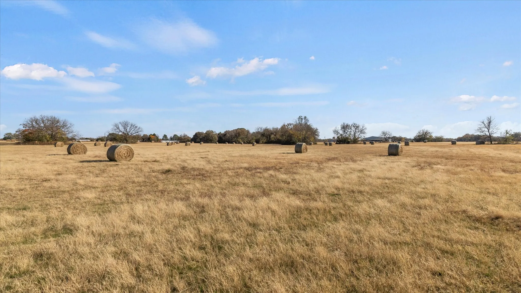 View of yard featuring a view of rural / pastoral area