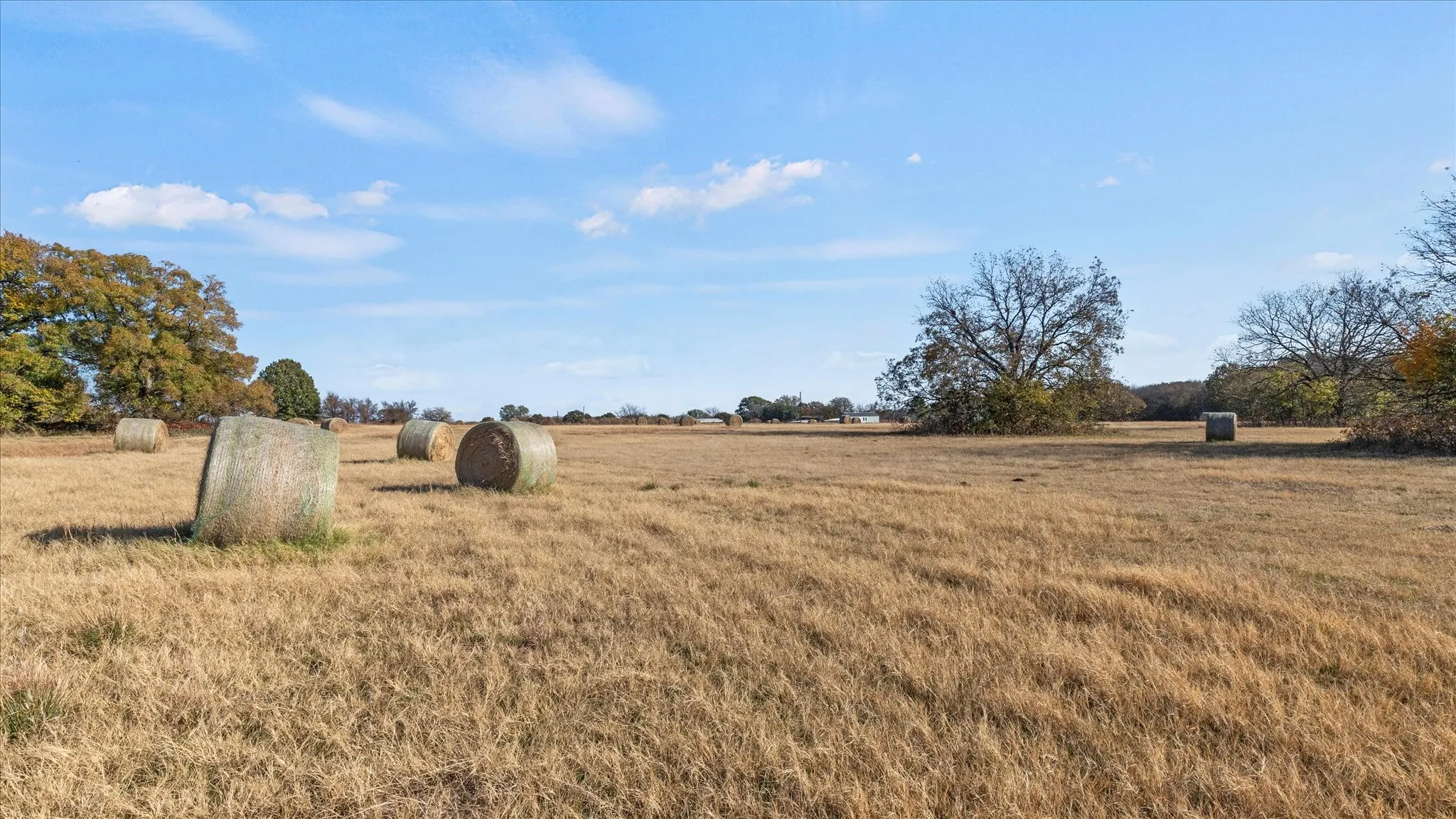 View of yard featuring a view of rural / pastoral area