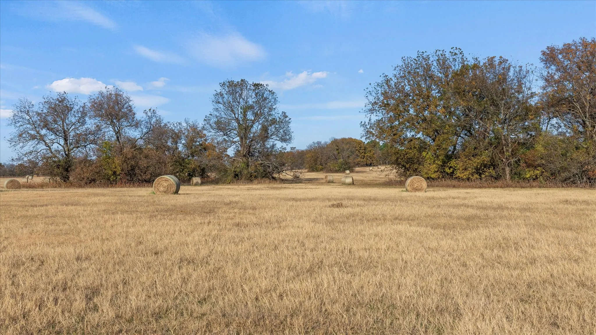 View of green lawn featuring a rural view