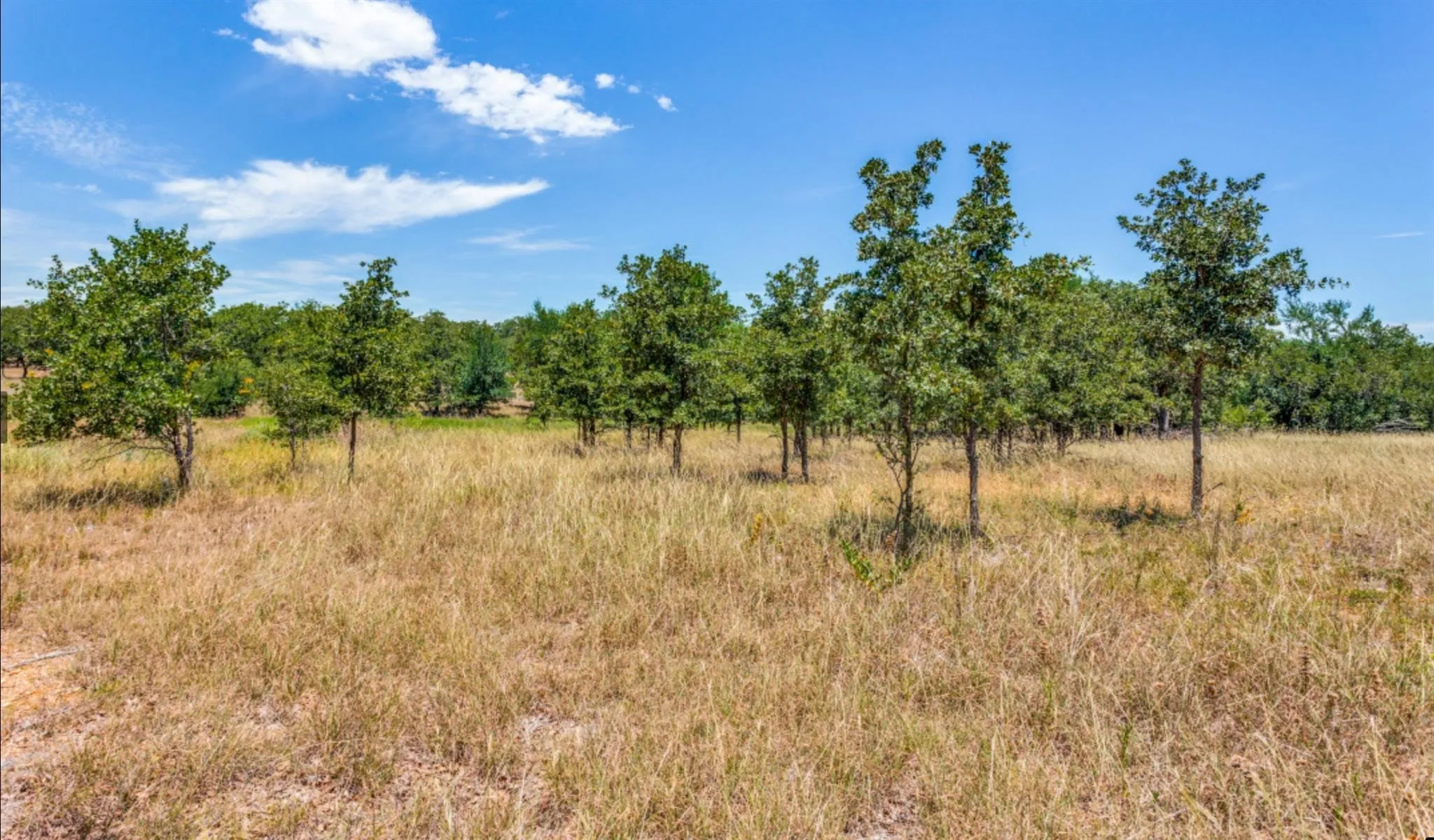 Improved Land For Sale in Parker County , 271 Creek Meadow Court, Lipan, Texas 76462, 0, 0, Garage spaces, 0 Sqft, built in 0, mls#21114318, Real Estate Agent in Lipan, Homes For Sale in Parker county, Homes For Sale in Lipan, Realtor in Lipan Texas, Real Estate Brokerage Independent Realty Texas, Luminita Cordes Realtor