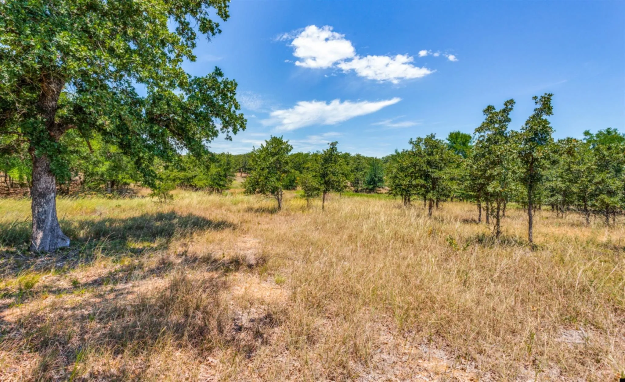 Improved Land For Sale in Parker County , 271 Creek Meadow Court, Lipan, Texas 76462, 0, 0, Garage spaces, 0 Sqft, built in 0, mls#21114318, Real Estate Agent in Lipan, Homes For Sale in Parker county, Homes For Sale in Lipan, Realtor in Lipan Texas, Real Estate Brokerage Independent Realty Texas, Luminita Cordes Realtor