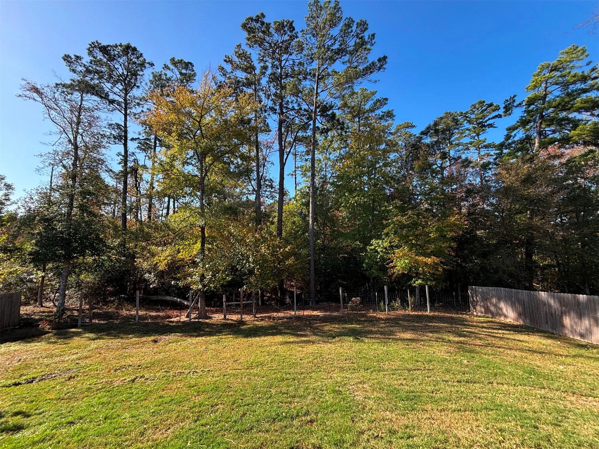 Single Family Residence For Sale in Cherokee County , 196 Twisted Oaks Drive, Rusk, Texas 75785, 3 Bedroom, 2 Bathroom, 2 Garage spaces, 1,362 Sqft, built in 2022, Preowned, mls#21114359, Real Estate Agent in Rusk, Homes For Sale in Cherokee county, Homes For Sale in Rusk, Realtor in Rusk Texas, Real Estate Brokerage Independent Realty Texas, Luminita Cordes Realtor