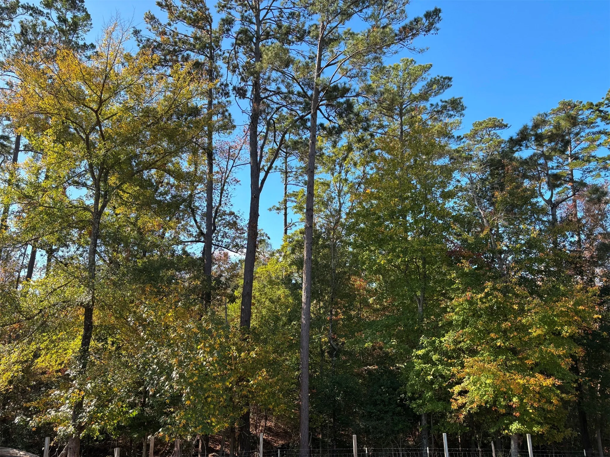 Single Family Residence For Sale in Cherokee County , 196 Twisted Oaks Drive, Rusk, Texas 75785, 3 Bedroom, 2 Bathroom, 2 Garage spaces, 1,362 Sqft, built in 2022, Preowned, mls#21114359, Real Estate Agent in Rusk, Homes For Sale in Cherokee county, Homes For Sale in Rusk, Realtor in Rusk Texas, Real Estate Brokerage Independent Realty Texas, Luminita Cordes Realtor