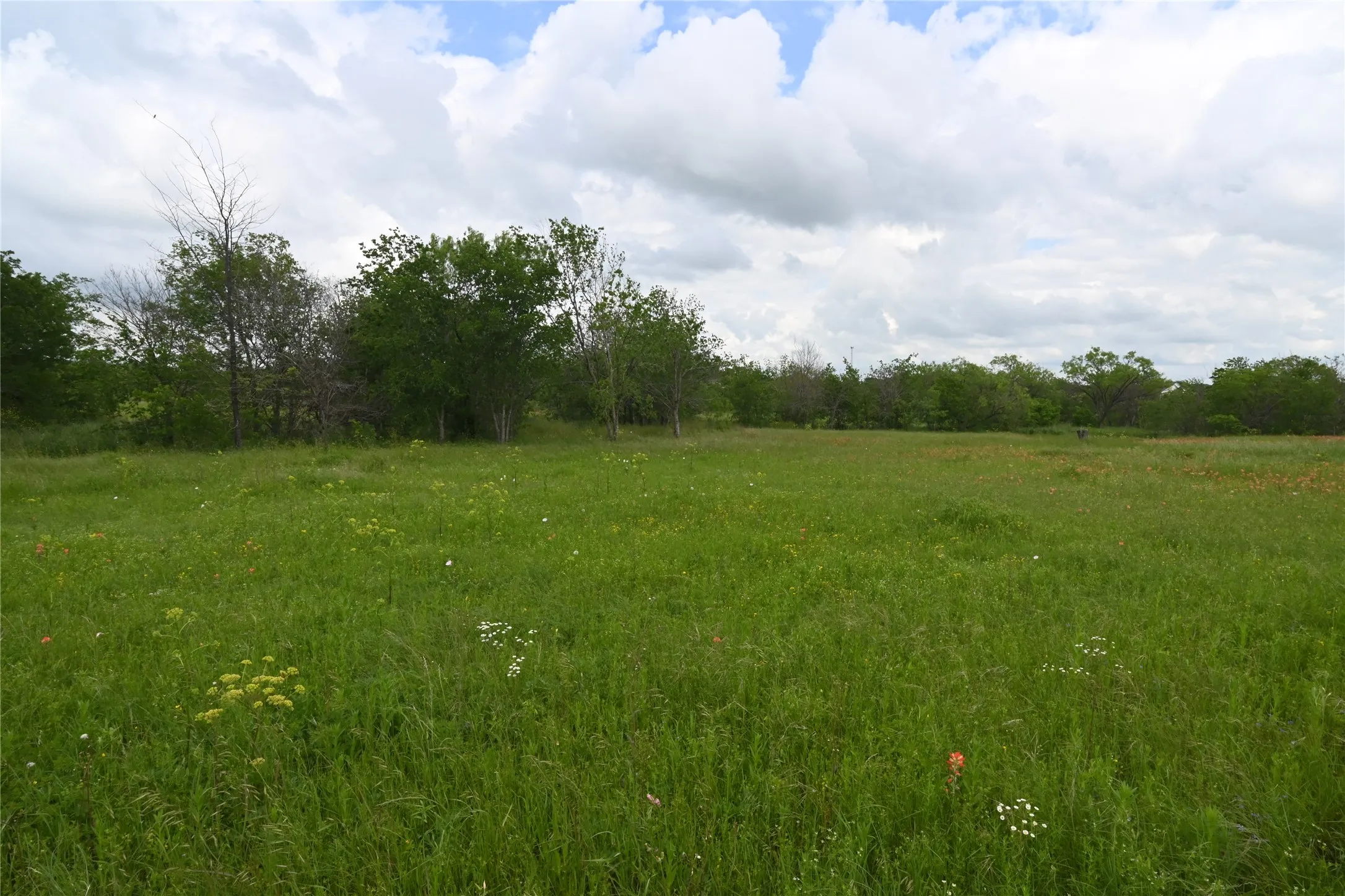 Unimproved Land For Sale in Ellis County , 109 Hillridge Lane, Maypearl, Texas 76064, 0, 0, Garage spaces, 0 Sqft, built in 0, Price $239,000, mls#21114426, Real Estate Agent in Maypearl, Homes For Sale in Ellis county, Homes For Sale in Maypearl, Realtor in Maypearl Texas, Real Estate Brokerage Independent Realty Texas, Luminita Cordes Realtor