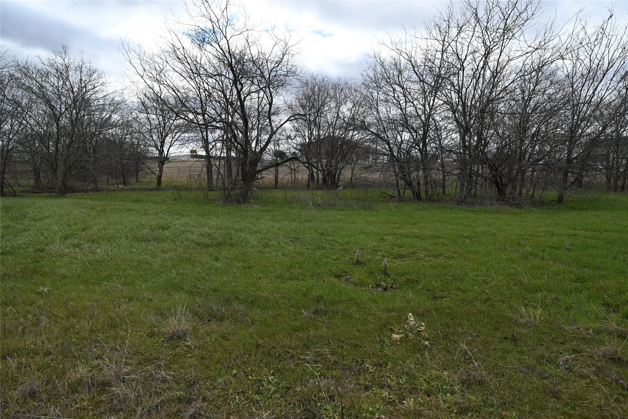 Unimproved Land For Sale in Ellis County , 109 Hillridge Lane, Maypearl, Texas 76064, 0, 0, Garage spaces, 0 Sqft, built in 0, Price $239,000, mls#21114426, Real Estate Agent in Maypearl, Homes For Sale in Ellis county, Homes For Sale in Maypearl, Realtor in Maypearl Texas, Real Estate Brokerage Independent Realty Texas, Luminita Cordes Realtor