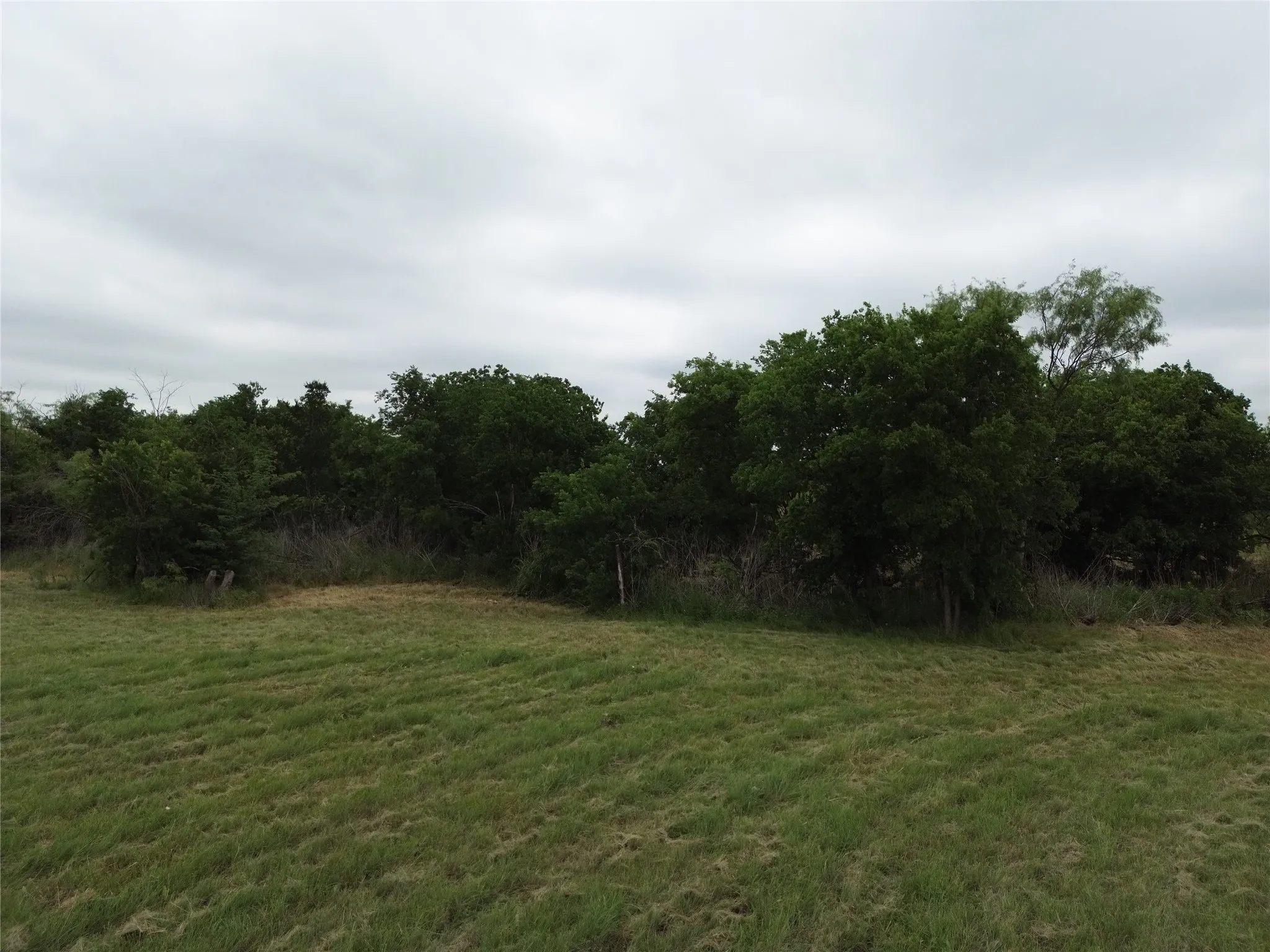Unimproved Land For Sale in Ellis County , 109 Hillridge Lane, Maypearl, Texas 76064, 0, 0, Garage spaces, 0 Sqft, built in 0, Price $239,000, mls#21114426, Real Estate Agent in Maypearl, Homes For Sale in Ellis county, Homes For Sale in Maypearl, Realtor in Maypearl Texas, Real Estate Brokerage Independent Realty Texas, Luminita Cordes Realtor