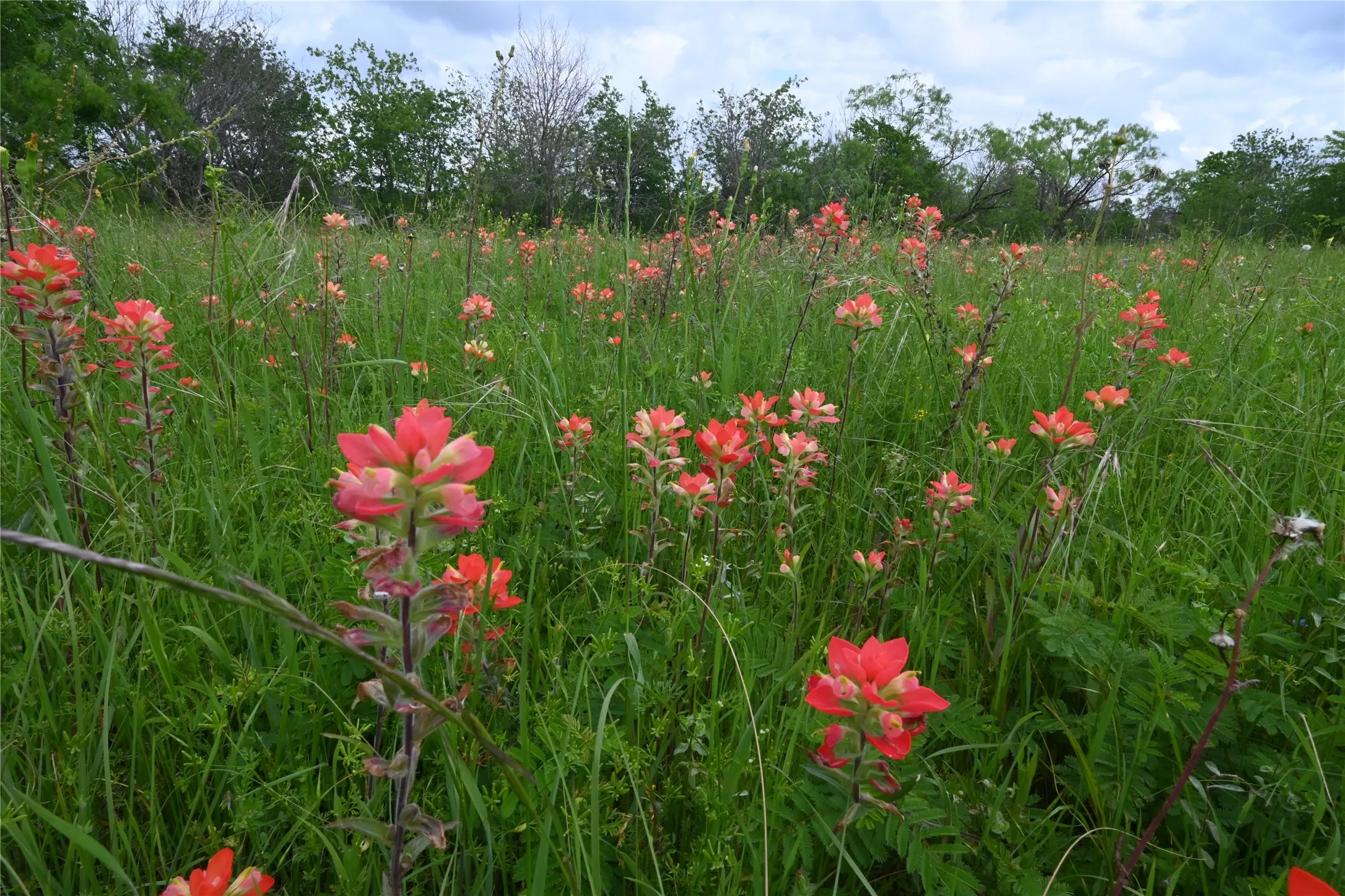 Unimproved Land For Sale in Ellis County , 109 Hillridge Lane, Maypearl, Texas 76064, 0, 0, Garage spaces, 0 Sqft, built in 0, Price $239,000, mls#21114426, Real Estate Agent in Maypearl, Homes For Sale in Ellis county, Homes For Sale in Maypearl, Realtor in Maypearl Texas, Real Estate Brokerage Independent Realty Texas, Luminita Cordes Realtor