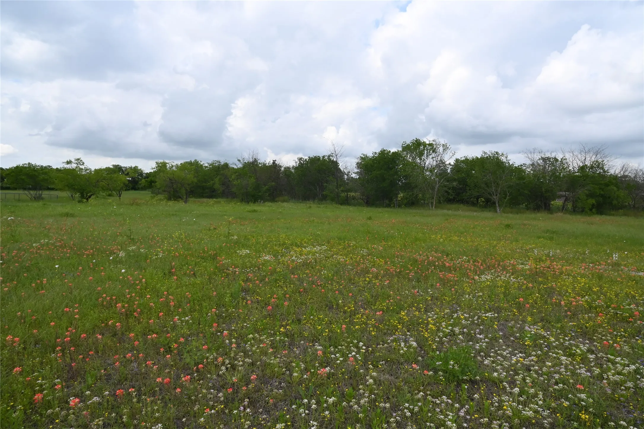 Unimproved Land For Sale in Ellis County , 109 Hillridge Lane, Maypearl, Texas 76064, 0, 0, Garage spaces, 0 Sqft, built in 0, Price $239,000, mls#21114426, Real Estate Agent in Maypearl, Homes For Sale in Ellis county, Homes For Sale in Maypearl, Realtor in Maypearl Texas, Real Estate Brokerage Independent Realty Texas, Luminita Cordes Realtor