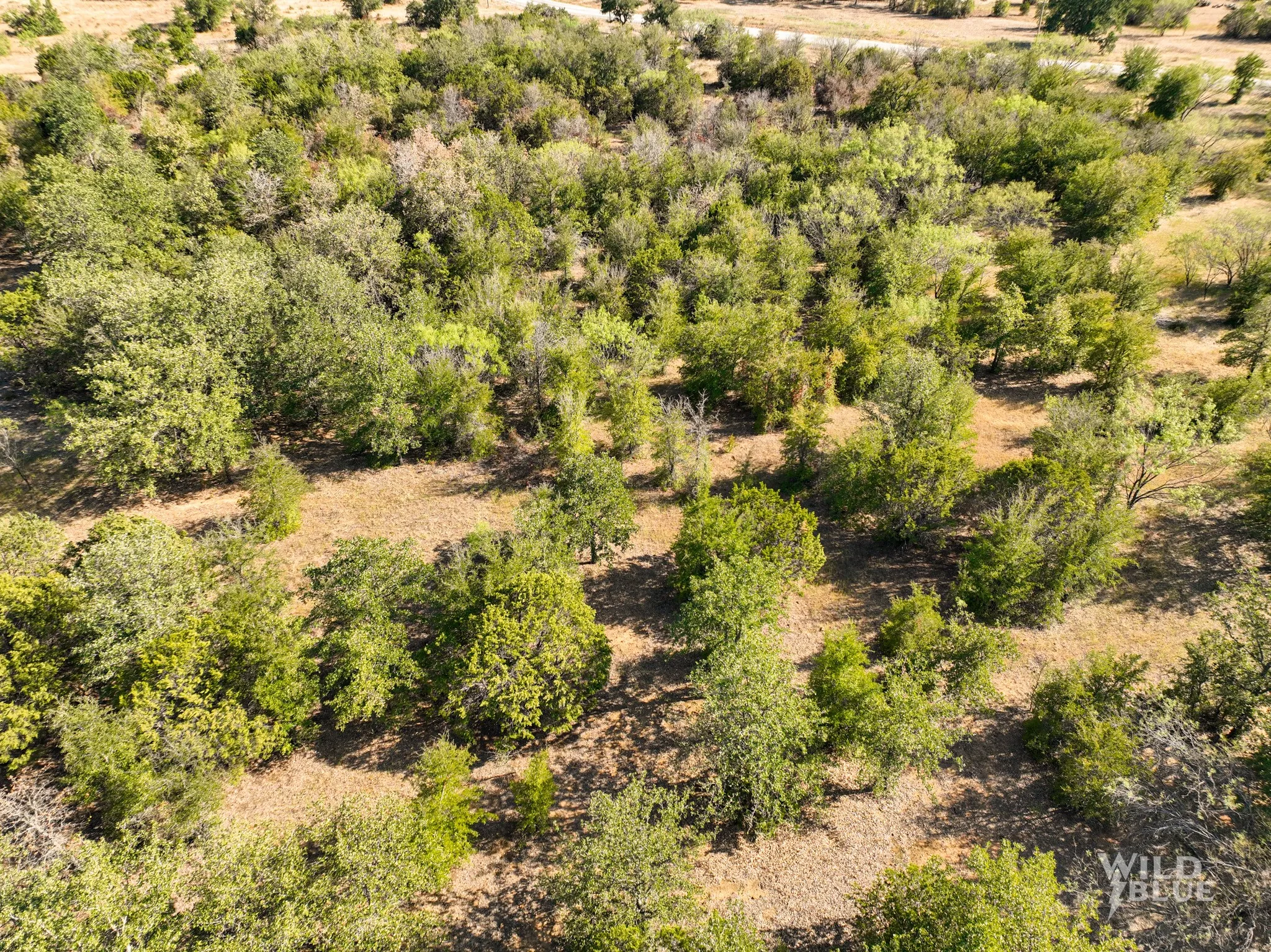 Unimproved Land For Sale in Palo Pinto County , TBD Lot 25 New Hope Road, Santo, Texas 76484, 0, 0, Garage spaces, 0 Sqft, built in 0, Price $119,900, mls#21114482, Real Estate Agent in Santo, Homes For Sale in Palo Pinto county, Homes For Sale in Santo, Realtor in Santo Texas, Real Estate Brokerage Independent Realty Texas, Luminita Cordes Realtor
