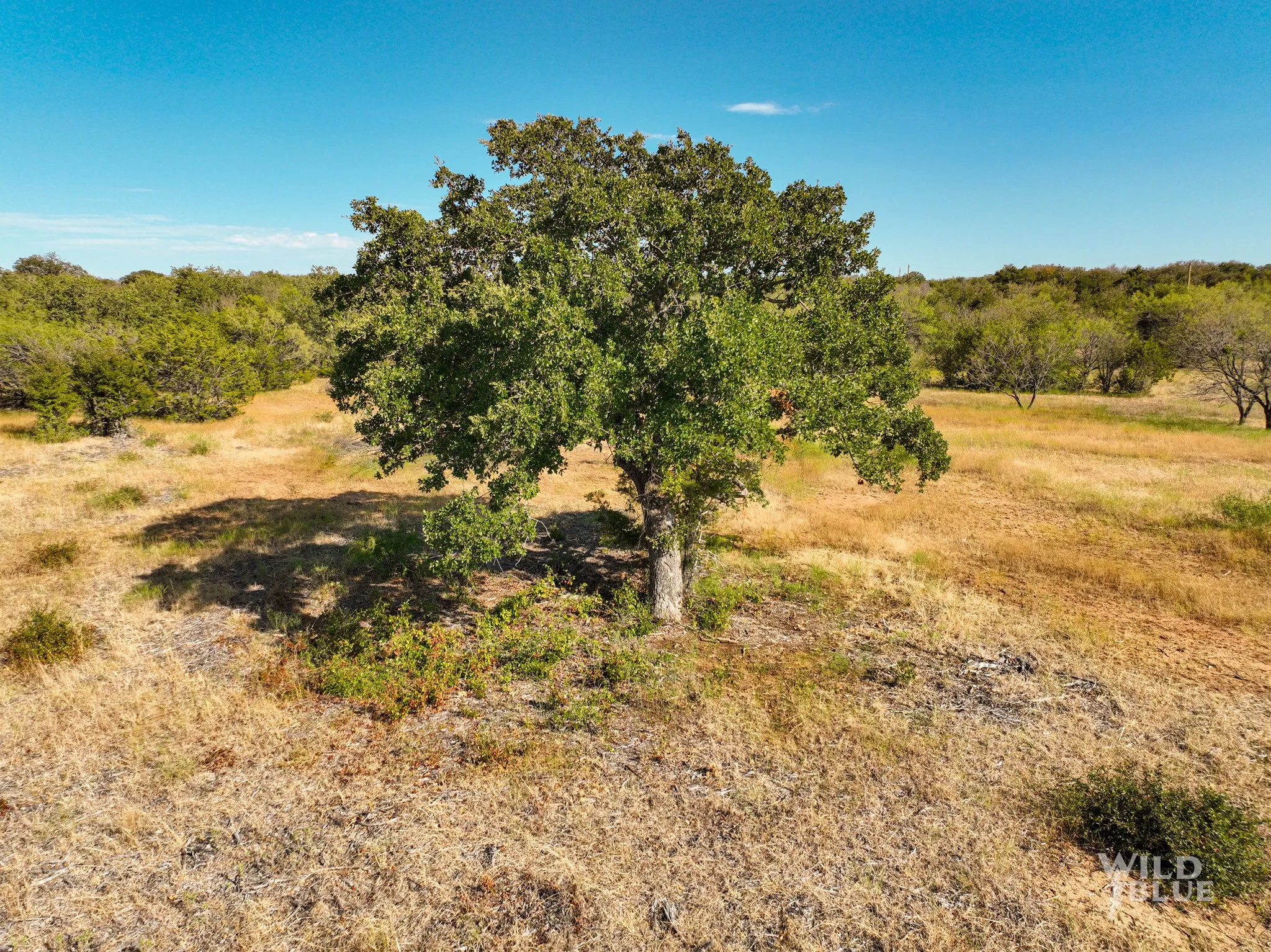 Unimproved Land For Sale in Palo Pinto County , TBD Lot 25 New Hope Road, Santo, Texas 76484, 0, 0, Garage spaces, 0 Sqft, built in 0, Price $119,900, mls#21114482, Real Estate Agent in Santo, Homes For Sale in Palo Pinto county, Homes For Sale in Santo, Realtor in Santo Texas, Real Estate Brokerage Independent Realty Texas, Luminita Cordes Realtor