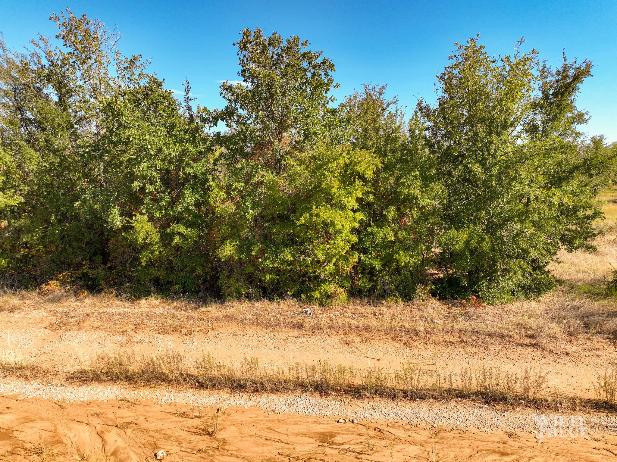 Unimproved Land For Sale in Palo Pinto County , TBD Lot 25 New Hope Road, Santo, Texas 76484, 0, 0, Garage spaces, 0 Sqft, built in 0, Price $119,900, mls#21114482, Real Estate Agent in Santo, Homes For Sale in Palo Pinto county, Homes For Sale in Santo, Realtor in Santo Texas, Real Estate Brokerage Independent Realty Texas, Luminita Cordes Realtor