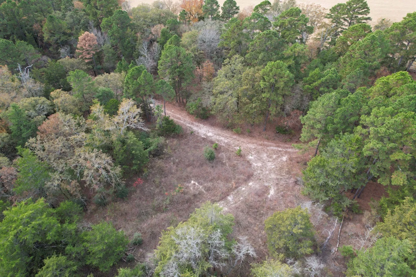 Unimproved Land For Sale in Upshur County , TBD Stag Road, Gilmer, Texas 75644, 0, 0, Garage spaces, 0 Sqft, built in 0, Price $890,000, mls#21114621, Real Estate Agent in Gilmer, Homes For Sale in Upshur county, Homes For Sale in Gilmer, Realtor in Gilmer Texas, Real Estate Brokerage Independent Realty Texas, Luminita Cordes Realtor