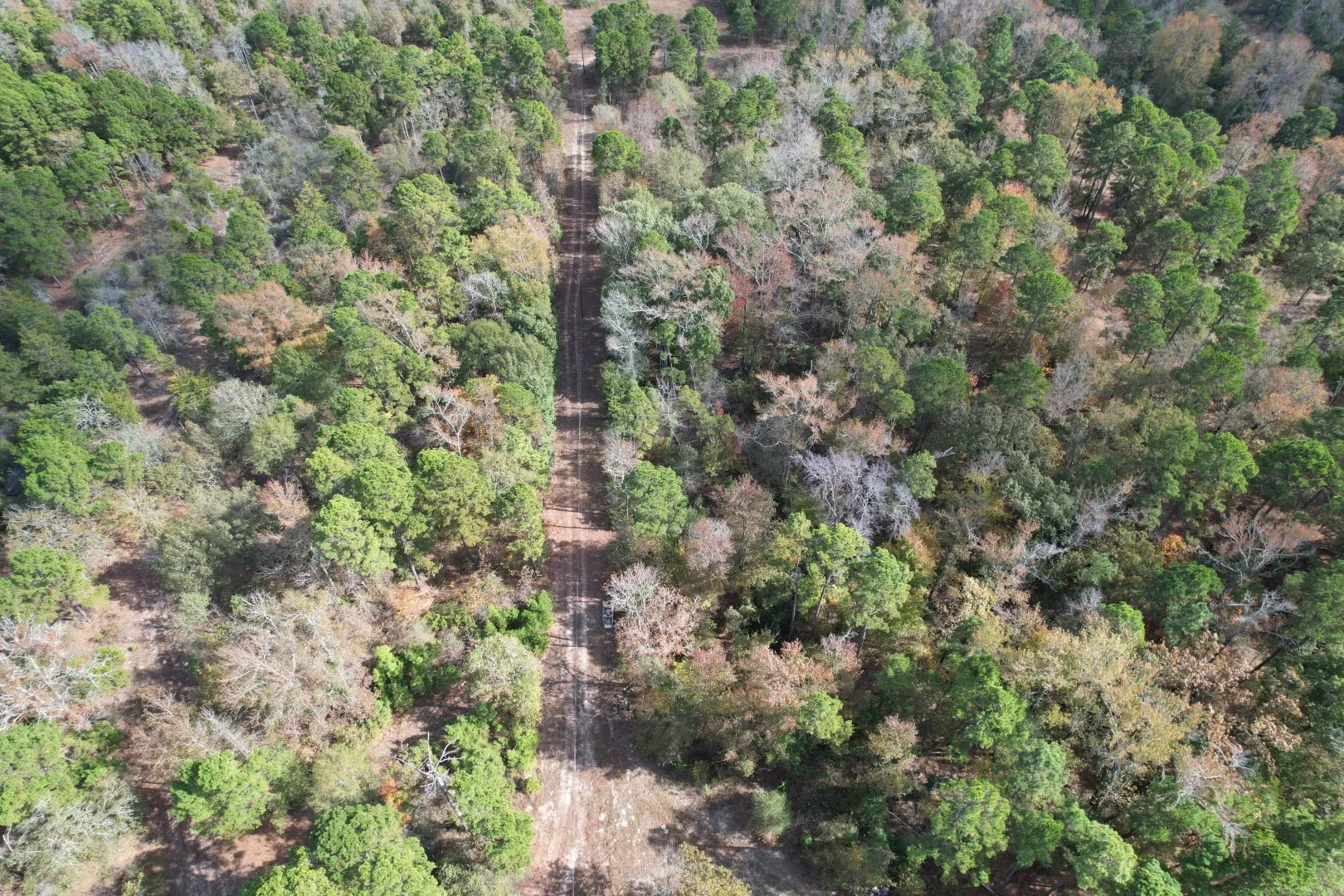 Unimproved Land For Sale in Upshur County , TBD Stag Road, Gilmer, Texas 75644, 0, 0, Garage spaces, 0 Sqft, built in 0, Price $890,000, mls#21114621, Real Estate Agent in Gilmer, Homes For Sale in Upshur county, Homes For Sale in Gilmer, Realtor in Gilmer Texas, Real Estate Brokerage Independent Realty Texas, Luminita Cordes Realtor