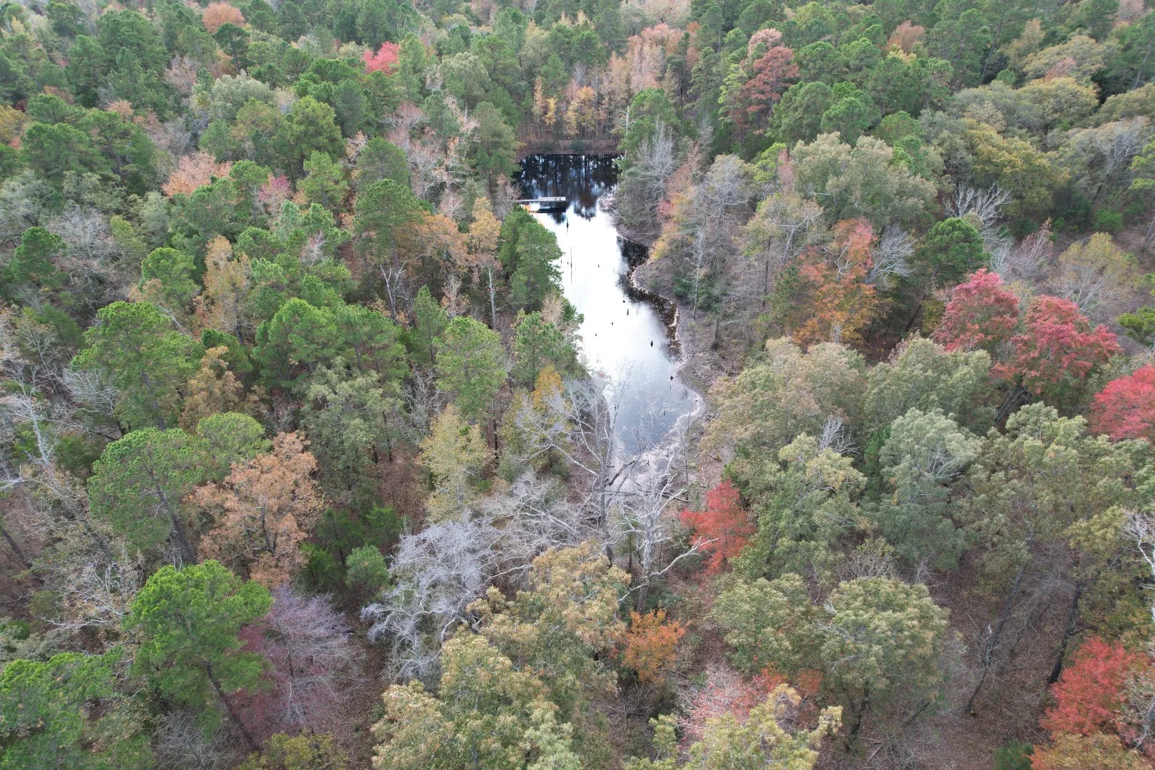 Unimproved Land For Sale in Upshur County , TBD Stag Road, Gilmer, Texas 75644, 0, 0, Garage spaces, 0 Sqft, built in 0, Price $890,000, mls#21114621, Real Estate Agent in Gilmer, Homes For Sale in Upshur county, Homes For Sale in Gilmer, Realtor in Gilmer Texas, Real Estate Brokerage Independent Realty Texas, Luminita Cordes Realtor