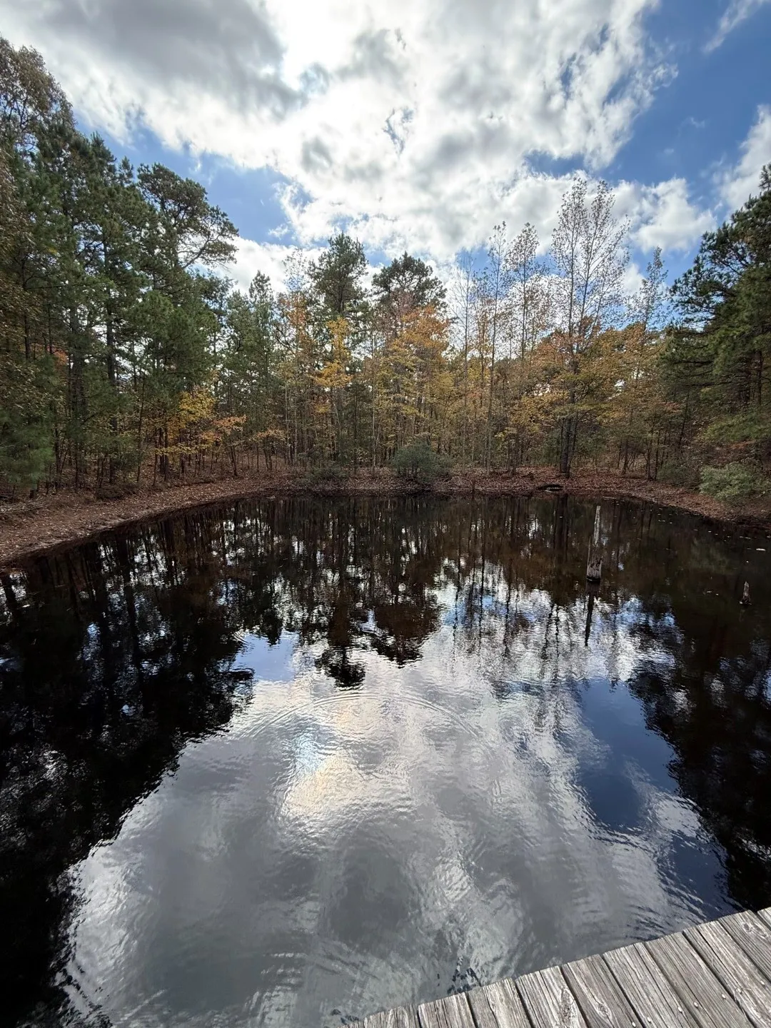 Unimproved Land For Sale in Upshur County , TBD Stag Road, Gilmer, Texas 75644, 0, 0, Garage spaces, 0 Sqft, built in 0, Price $890,000, mls#21114621, Real Estate Agent in Gilmer, Homes For Sale in Upshur county, Homes For Sale in Gilmer, Realtor in Gilmer Texas, Real Estate Brokerage Independent Realty Texas, Luminita Cordes Realtor