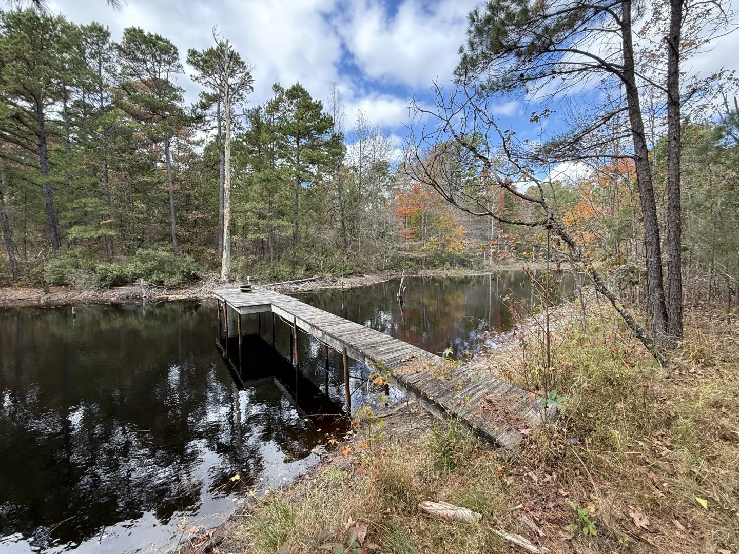 Unimproved Land For Sale in Upshur County , TBD Stag Road, Gilmer, Texas 75644, 0, 0, Garage spaces, 0 Sqft, built in 0, Price $890,000, mls#21114621, Real Estate Agent in Gilmer, Homes For Sale in Upshur county, Homes For Sale in Gilmer, Realtor in Gilmer Texas, Real Estate Brokerage Independent Realty Texas, Luminita Cordes Realtor