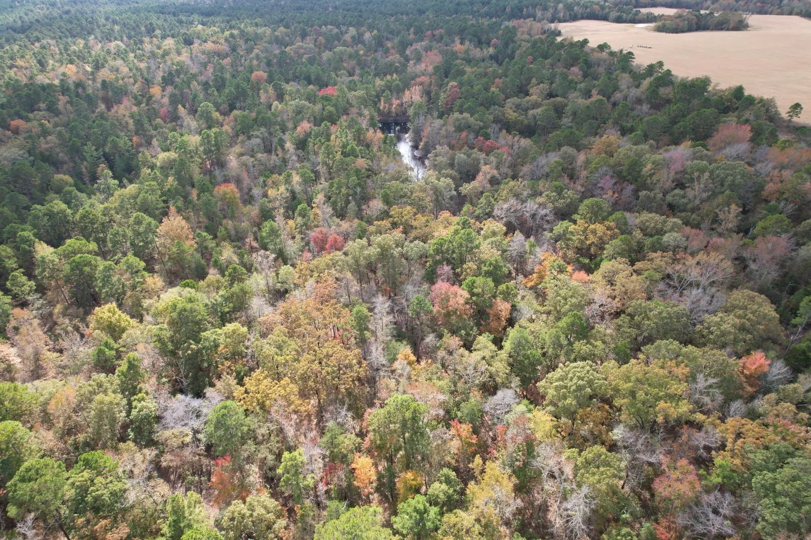 Unimproved Land For Sale in Upshur County , TBD Stag Road, Gilmer, Texas 75644, 0, 0, Garage spaces, 0 Sqft, built in 0, Price $890,000, mls#21114621, Real Estate Agent in Gilmer, Homes For Sale in Upshur county, Homes For Sale in Gilmer, Realtor in Gilmer Texas, Real Estate Brokerage Independent Realty Texas, Luminita Cordes Realtor