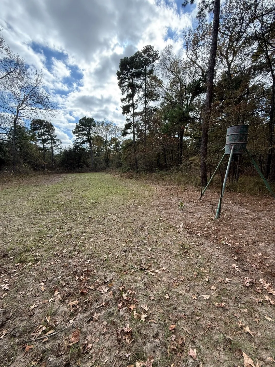 Unimproved Land For Sale in Upshur County , TBD Stag Road, Gilmer, Texas 75644, 0, 0, Garage spaces, 0 Sqft, built in 0, Price $890,000, mls#21114621, Real Estate Agent in Gilmer, Homes For Sale in Upshur county, Homes For Sale in Gilmer, Realtor in Gilmer Texas, Real Estate Brokerage Independent Realty Texas, Luminita Cordes Realtor