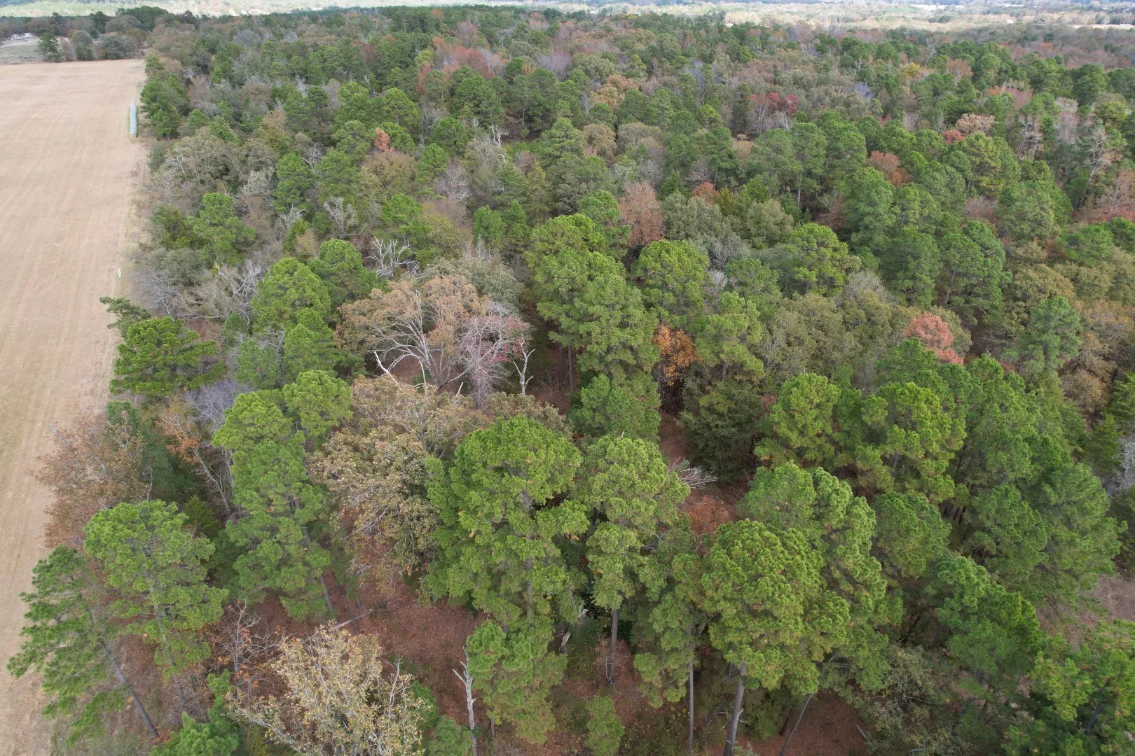 Unimproved Land For Sale in Upshur County , TBD Stag Road, Gilmer, Texas 75644, 0, 0, Garage spaces, 0 Sqft, built in 0, Price $890,000, mls#21114621, Real Estate Agent in Gilmer, Homes For Sale in Upshur county, Homes For Sale in Gilmer, Realtor in Gilmer Texas, Real Estate Brokerage Independent Realty Texas, Luminita Cordes Realtor