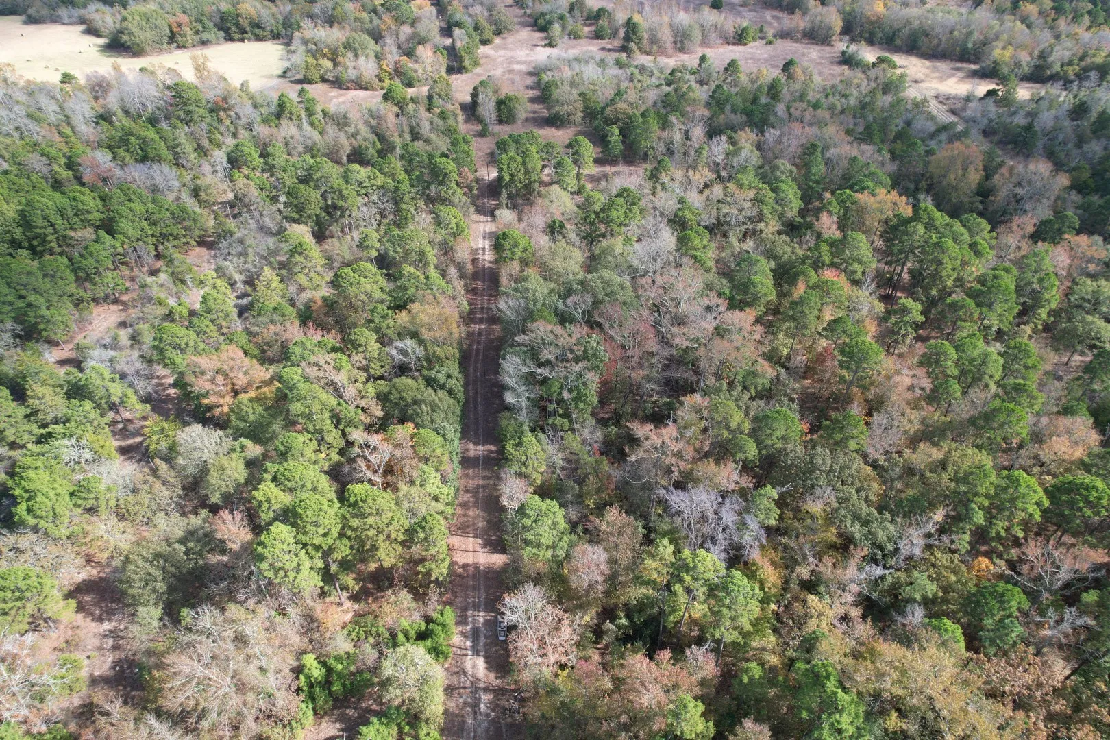 Unimproved Land For Sale in Upshur County , TBD Stag Road, Gilmer, Texas 75644, 0, 0, Garage spaces, 0 Sqft, built in 0, Price $890,000, mls#21114621, Real Estate Agent in Gilmer, Homes For Sale in Upshur county, Homes For Sale in Gilmer, Realtor in Gilmer Texas, Real Estate Brokerage Independent Realty Texas, Luminita Cordes Realtor