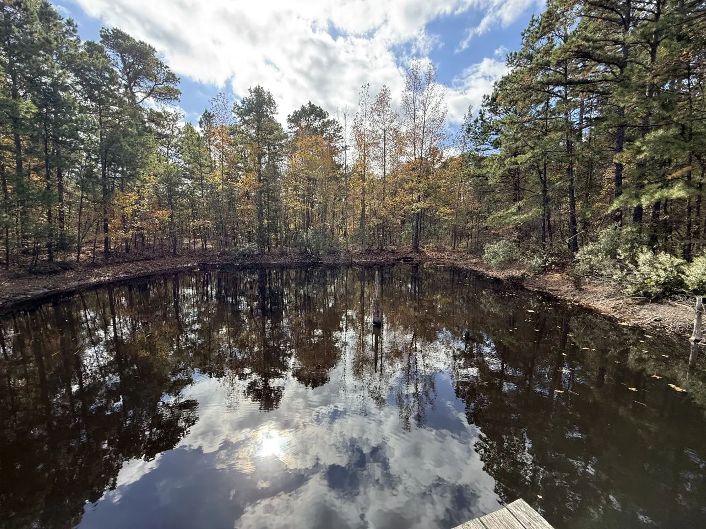 Unimproved Land For Sale in Upshur County , TBD Stag Road, Gilmer, Texas 75644, 0, 0, Garage spaces, 0 Sqft, built in 0, Price $890,000, mls#21114621, Real Estate Agent in Gilmer, Homes For Sale in Upshur county, Homes For Sale in Gilmer, Realtor in Gilmer Texas, Real Estate Brokerage Independent Realty Texas, Luminita Cordes Realtor