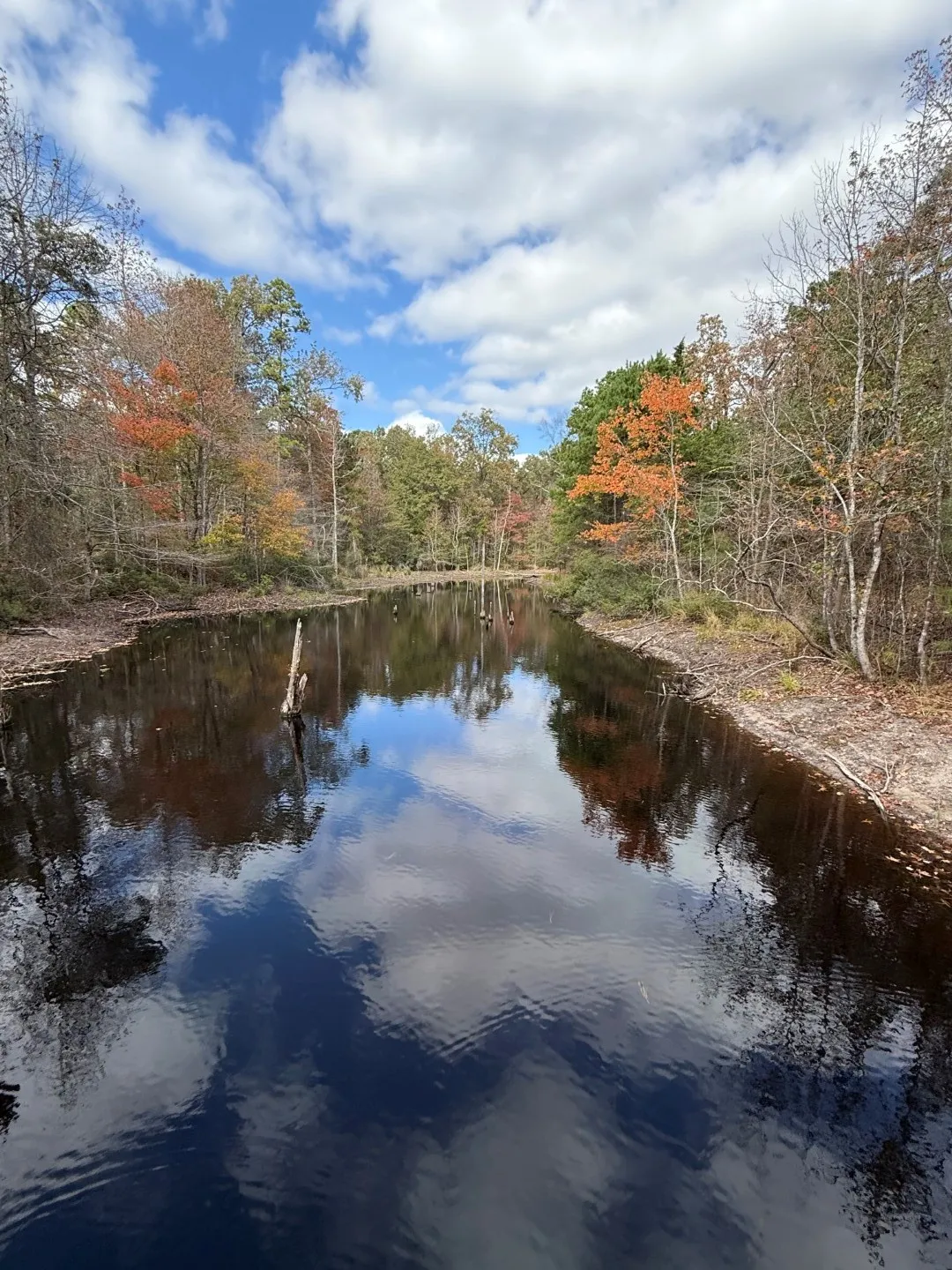 Unimproved Land For Sale in Upshur County , TBD Stag Road, Gilmer, Texas 75644, 0, 0, Garage spaces, 0 Sqft, built in 0, Price $890,000, mls#21114621, Real Estate Agent in Gilmer, Homes For Sale in Upshur county, Homes For Sale in Gilmer, Realtor in Gilmer Texas, Real Estate Brokerage Independent Realty Texas, Luminita Cordes Realtor