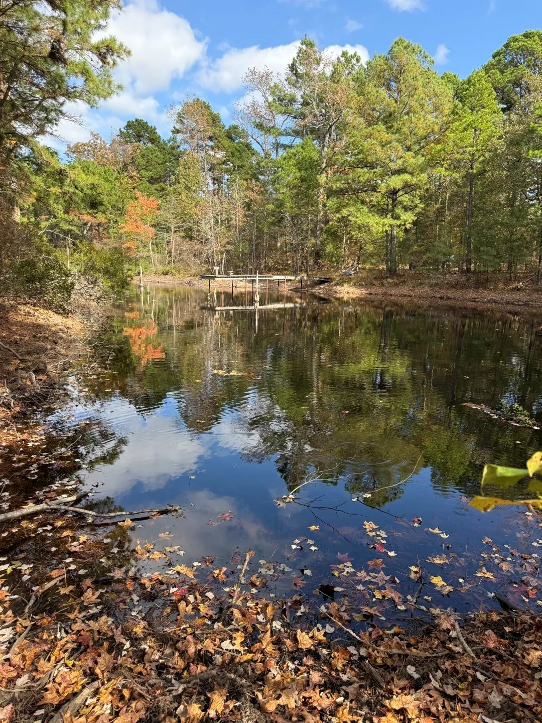 Unimproved Land For Sale in Upshur County , TBD Stag Road, Gilmer, Texas 75644, 0, 0, Garage spaces, 0 Sqft, built in 0, Price $890,000, mls#21114621, Real Estate Agent in Gilmer, Homes For Sale in Upshur county, Homes For Sale in Gilmer, Realtor in Gilmer Texas, Real Estate Brokerage Independent Realty Texas, Luminita Cordes Realtor