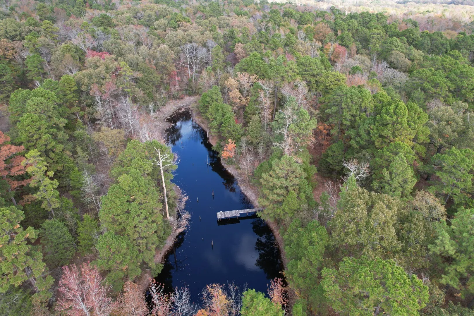 Unimproved Land For Sale in Upshur County , TBD Stag Road, Gilmer, Texas 75644, 0, 0, Garage spaces, 0 Sqft, built in 0, Price $890,000, mls#21114621, Real Estate Agent in Gilmer, Homes For Sale in Upshur county, Homes For Sale in Gilmer, Realtor in Gilmer Texas, Real Estate Brokerage Independent Realty Texas, Luminita Cordes Realtor