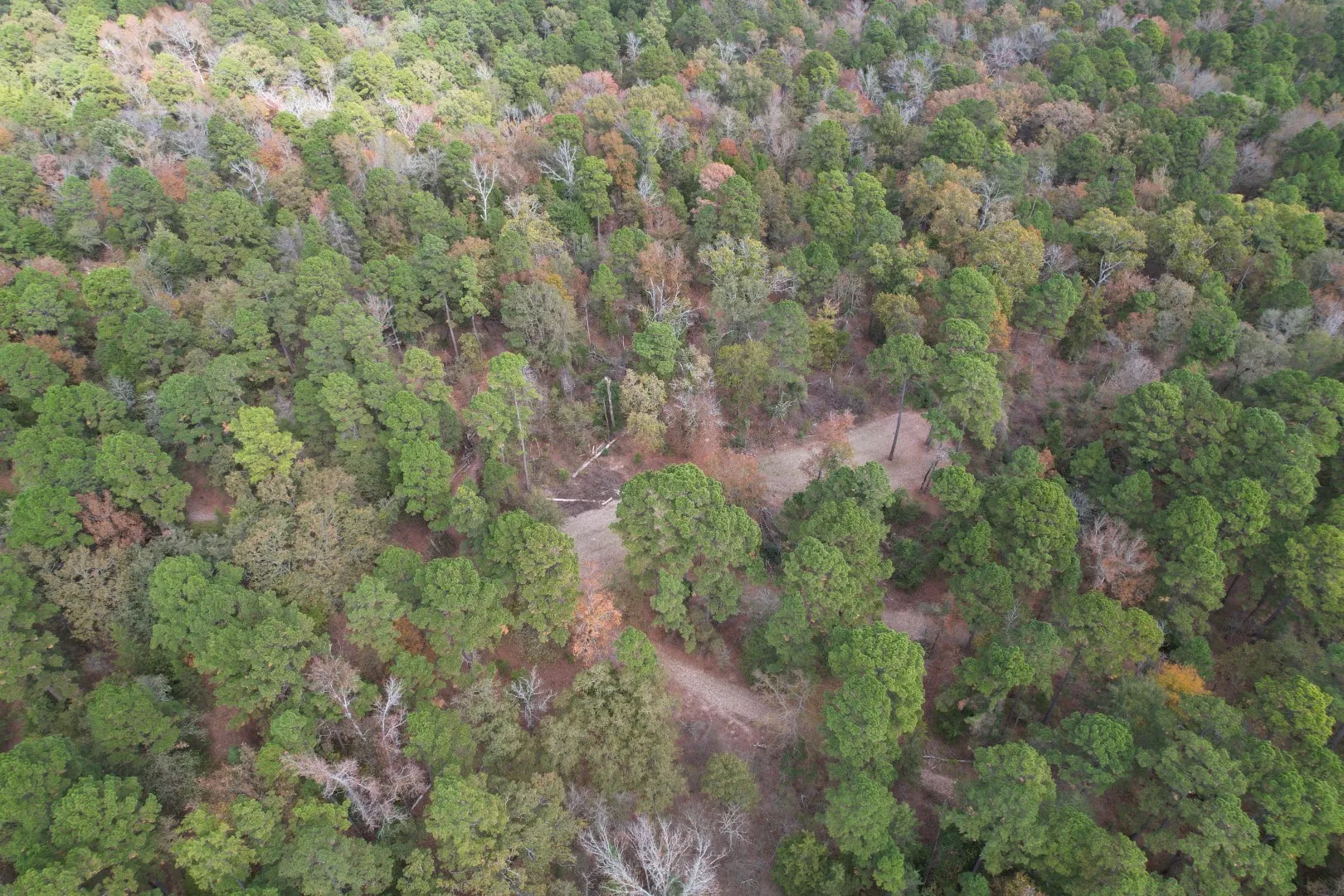 Unimproved Land For Sale in Upshur County , TBD Stag Road, Gilmer, Texas 75644, 0, 0, Garage spaces, 0 Sqft, built in 0, Price $890,000, mls#21114621, Real Estate Agent in Gilmer, Homes For Sale in Upshur county, Homes For Sale in Gilmer, Realtor in Gilmer Texas, Real Estate Brokerage Independent Realty Texas, Luminita Cordes Realtor