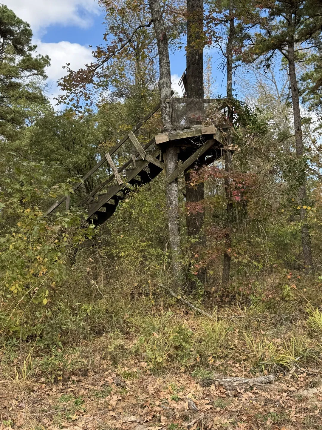 Unimproved Land For Sale in Upshur County , TBD Stag Road, Gilmer, Texas 75644, 0, 0, Garage spaces, 0 Sqft, built in 0, Price $890,000, mls#21114621, Real Estate Agent in Gilmer, Homes For Sale in Upshur county, Homes For Sale in Gilmer, Realtor in Gilmer Texas, Real Estate Brokerage Independent Realty Texas, Luminita Cordes Realtor