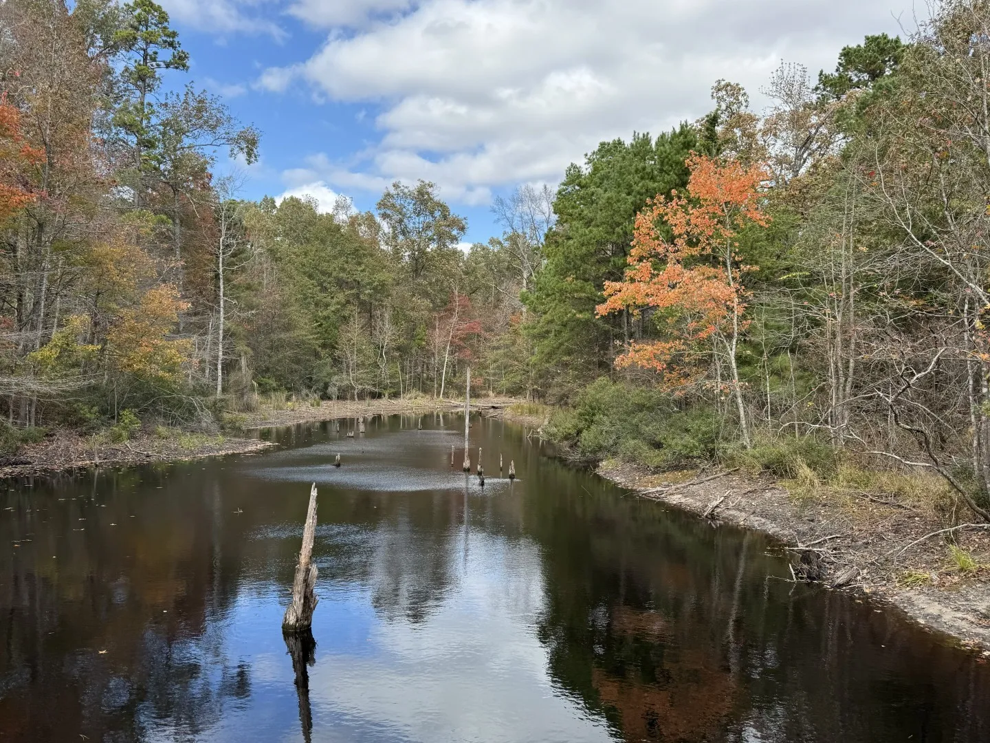 Unimproved Land For Sale in Upshur County , TBD Stag Road, Gilmer, Texas 75644, 0, 0, Garage spaces, 0 Sqft, built in 0, Price $890,000, mls#21114621, Real Estate Agent in Gilmer, Homes For Sale in Upshur county, Homes For Sale in Gilmer, Realtor in Gilmer Texas, Real Estate Brokerage Independent Realty Texas, Luminita Cordes Realtor