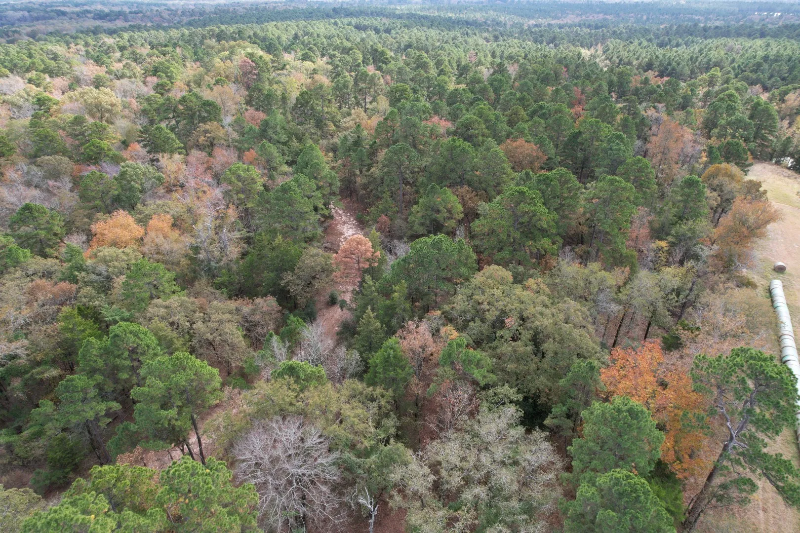 Unimproved Land For Sale in Upshur County , TBD Stag Road, Gilmer, Texas 75644, 0, 0, Garage spaces, 0 Sqft, built in 0, Price $890,000, mls#21114621, Real Estate Agent in Gilmer, Homes For Sale in Upshur county, Homes For Sale in Gilmer, Realtor in Gilmer Texas, Real Estate Brokerage Independent Realty Texas, Luminita Cordes Realtor