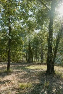 View of woods