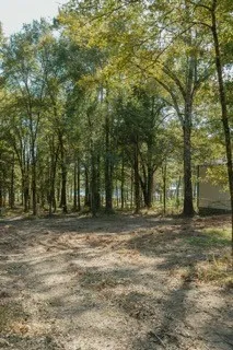 View of land