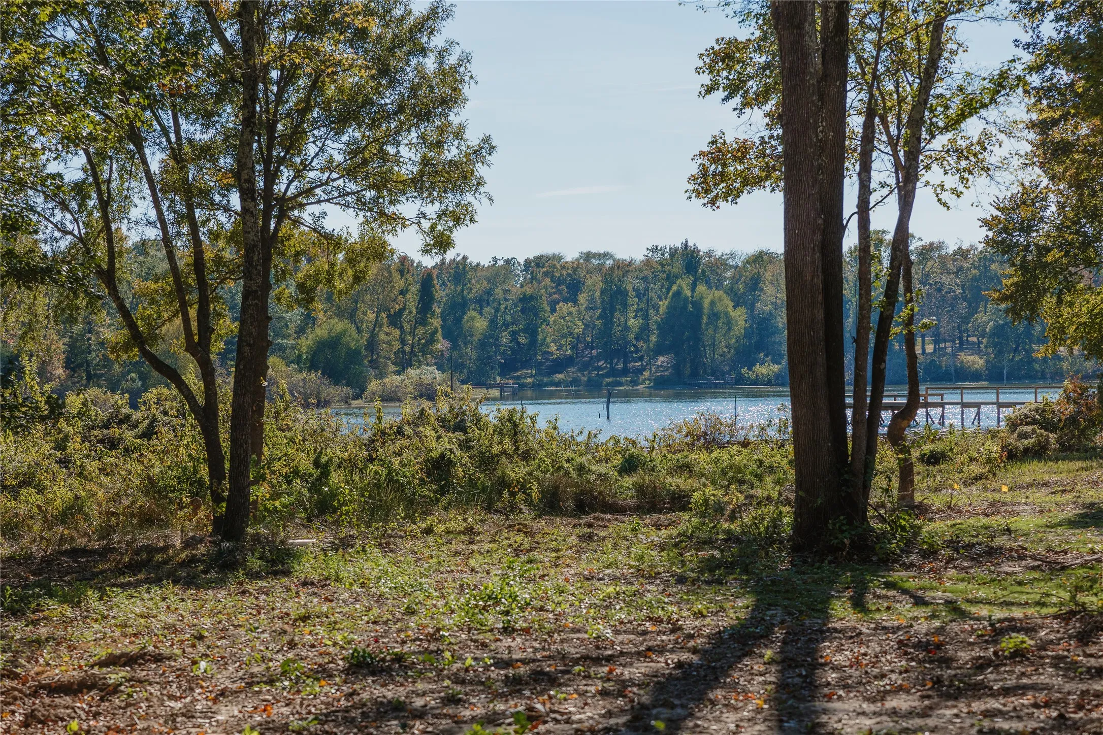 Unimproved Land For Sale in Wood County , Lot 15 Private Road 5948, Yantis, Texas 75765, 0, 0, Garage spaces, 0 Sqft, built in 0, Price $299,000, mls#21113312, Real Estate Agent in Yantis, Homes For Sale in Wood county, Homes For Sale in Yantis, Realtor in Yantis Texas, Real Estate Brokerage Independent Realty Texas, Luminita Cordes Realtor