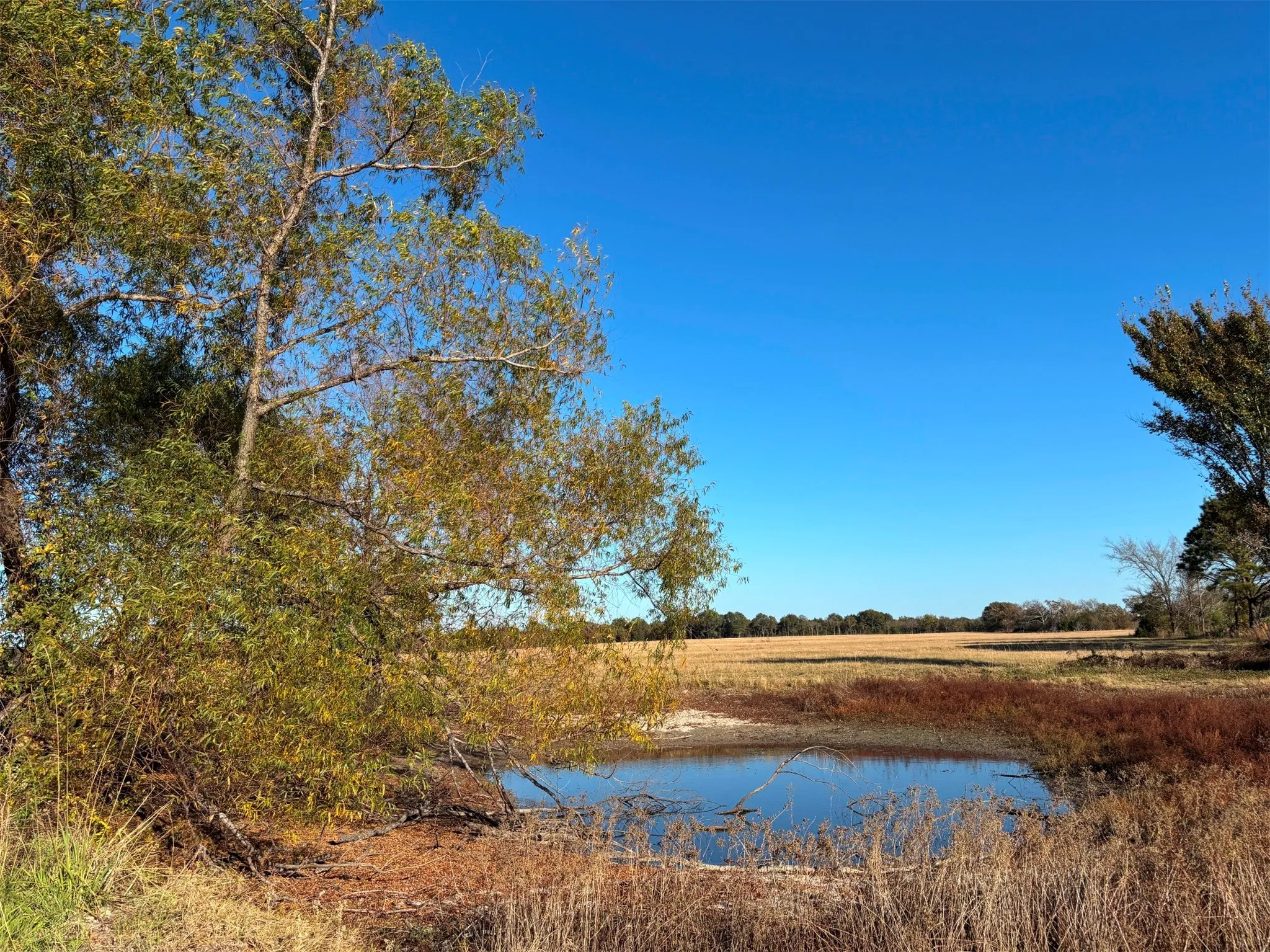 Ranch For Sale in Van Zandt County , 000 FM 1653, Ben Wheeler, Texas 75754, 0, 0, Garage spaces, 0 Sqft, built in 0, Price $650,000, mls#21114811, Real Estate Agent in Ben Wheeler, Homes For Sale in Van Zandt county, Homes For Sale in Ben Wheeler, Realtor in Ben Wheeler Texas, Real Estate Brokerage Independent Realty Texas, Luminita Cordes Realtor