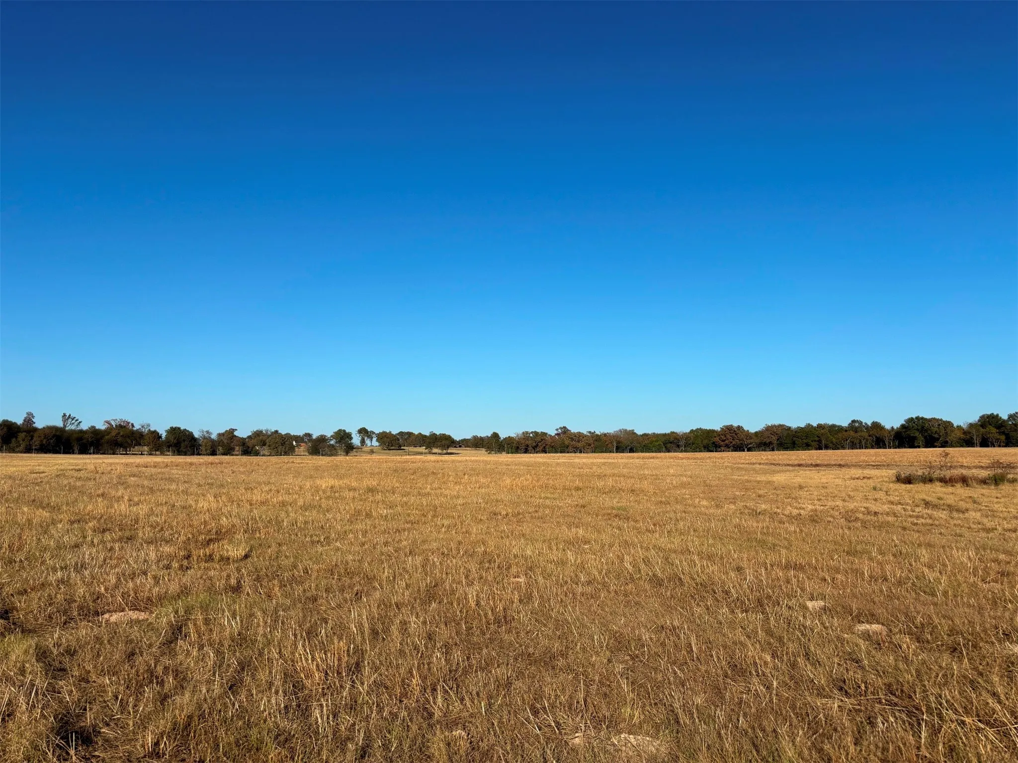 Ranch For Sale in Van Zandt County , 000 FM 1653, Ben Wheeler, Texas 75754, 0, 0, Garage spaces, 0 Sqft, built in 0, Price $650,000, mls#21114811, Real Estate Agent in Ben Wheeler, Homes For Sale in Van Zandt county, Homes For Sale in Ben Wheeler, Realtor in Ben Wheeler Texas, Real Estate Brokerage Independent Realty Texas, Luminita Cordes Realtor