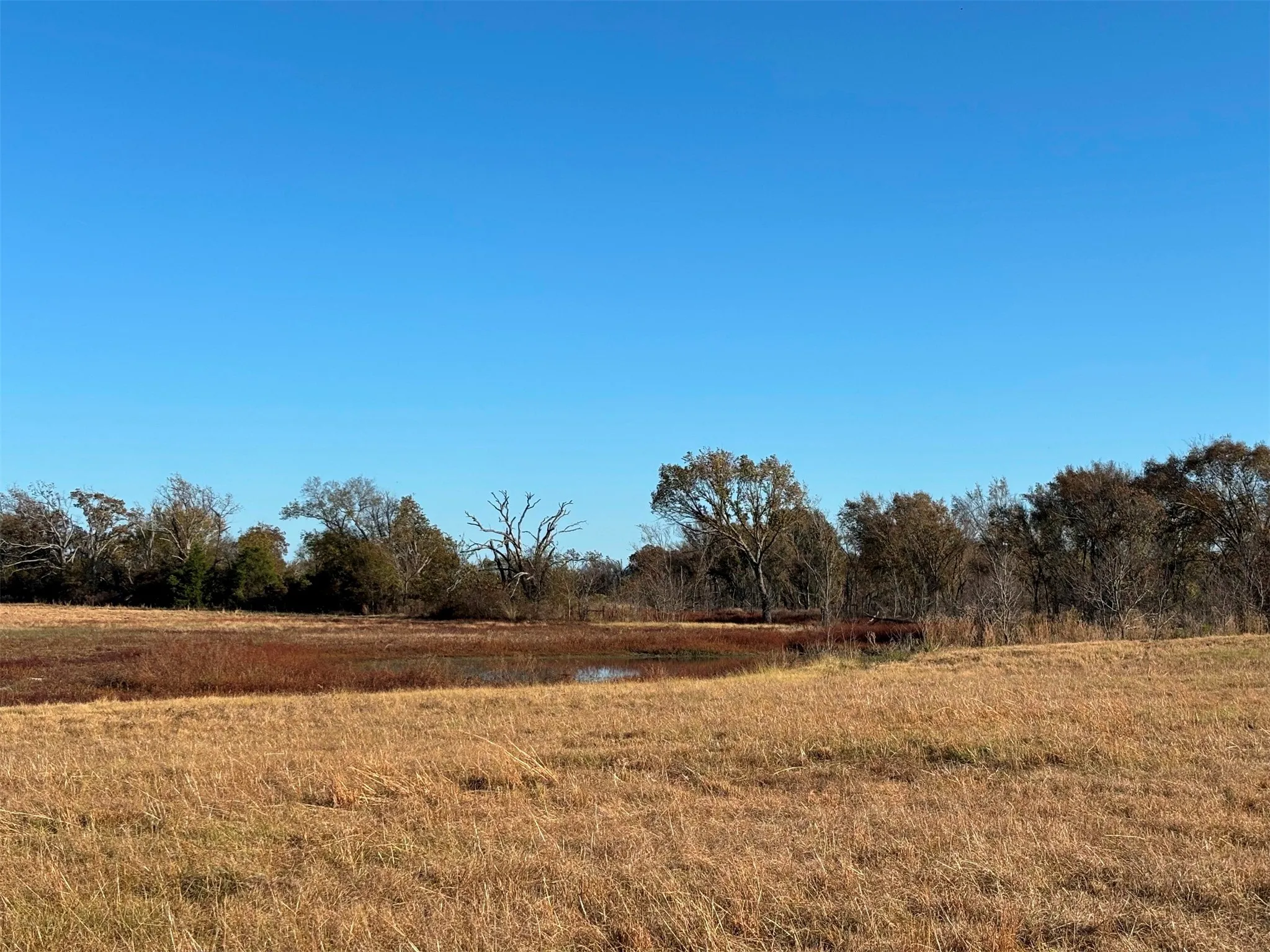 Ranch For Sale in Van Zandt County , 000 FM 1653, Ben Wheeler, Texas 75754, 0, 0, Garage spaces, 0 Sqft, built in 0, Price $650,000, mls#21114811, Real Estate Agent in Ben Wheeler, Homes For Sale in Van Zandt county, Homes For Sale in Ben Wheeler, Realtor in Ben Wheeler Texas, Real Estate Brokerage Independent Realty Texas, Luminita Cordes Realtor