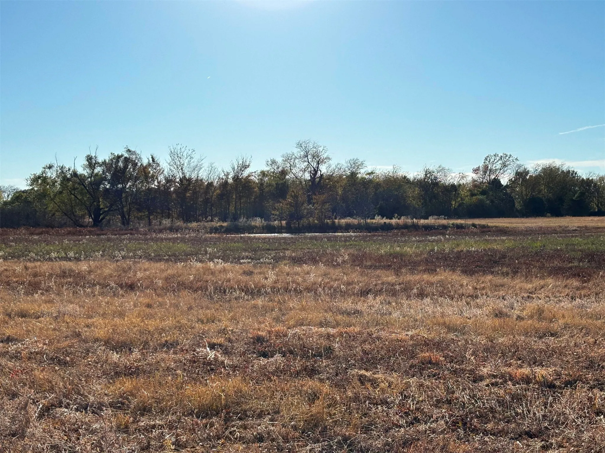 Ranch For Sale in Van Zandt County , 000 FM 1653, Ben Wheeler, Texas 75754, 0, 0, Garage spaces, 0 Sqft, built in 0, Price $650,000, mls#21114811, Real Estate Agent in Ben Wheeler, Homes For Sale in Van Zandt county, Homes For Sale in Ben Wheeler, Realtor in Ben Wheeler Texas, Real Estate Brokerage Independent Realty Texas, Luminita Cordes Realtor
