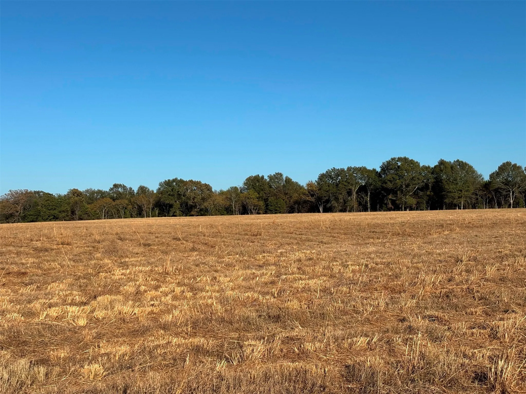 Ranch For Sale in Van Zandt County , 000 FM 1653, Ben Wheeler, Texas 75754, 0, 0, Garage spaces, 0 Sqft, built in 0, Price $650,000, mls#21114811, Real Estate Agent in Ben Wheeler, Homes For Sale in Van Zandt county, Homes For Sale in Ben Wheeler, Realtor in Ben Wheeler Texas, Real Estate Brokerage Independent Realty Texas, Luminita Cordes Realtor