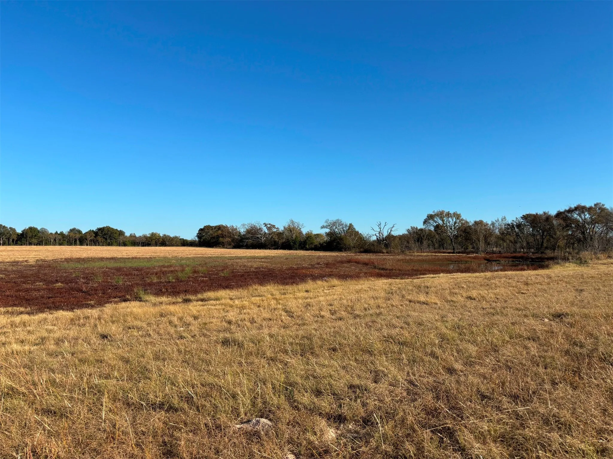 Ranch For Sale in Van Zandt County , 000 FM 1653, Ben Wheeler, Texas 75754, 0, 0, Garage spaces, 0 Sqft, built in 0, Price $650,000, mls#21114811, Real Estate Agent in Ben Wheeler, Homes For Sale in Van Zandt county, Homes For Sale in Ben Wheeler, Realtor in Ben Wheeler Texas, Real Estate Brokerage Independent Realty Texas, Luminita Cordes Realtor