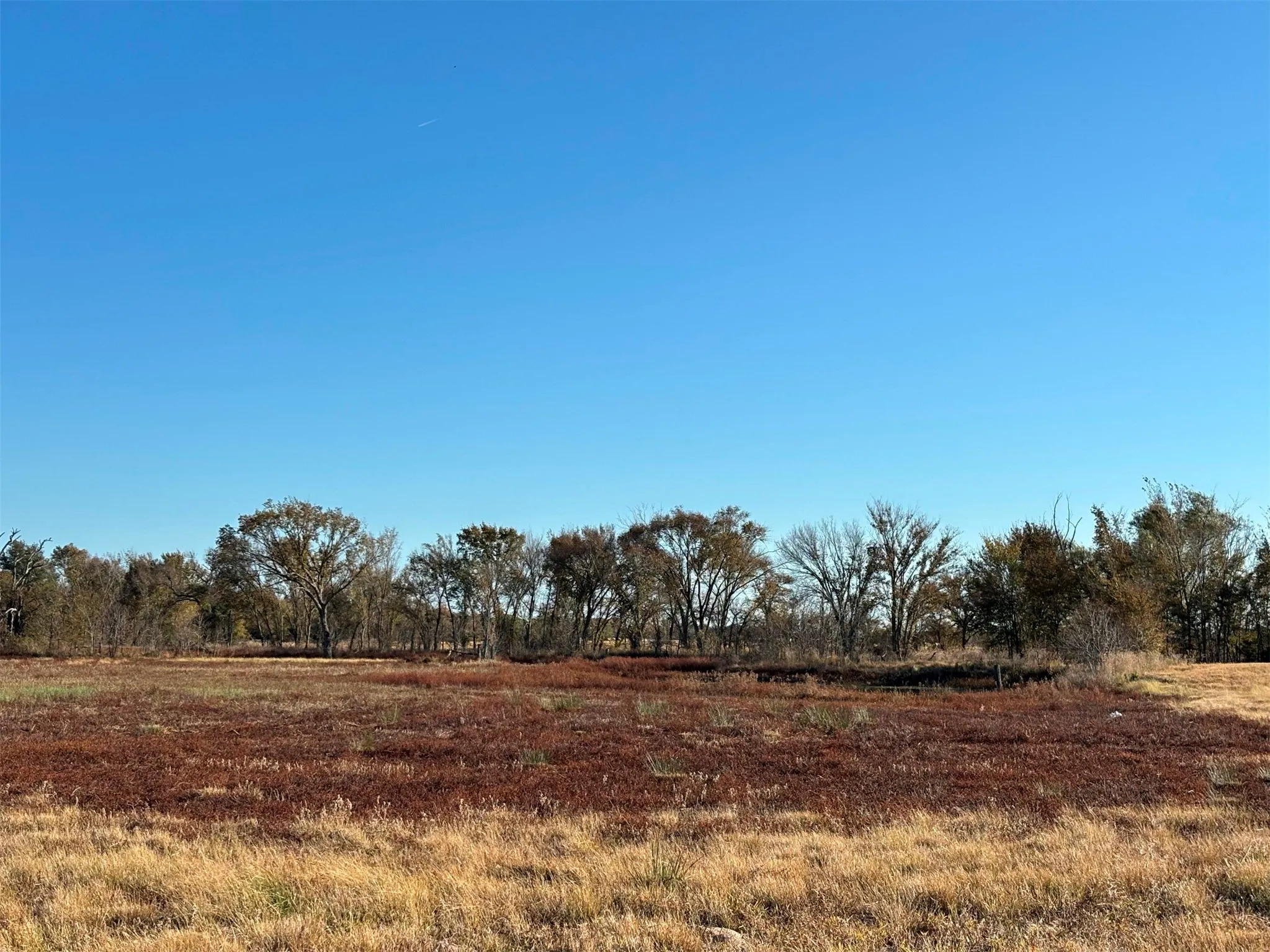 Ranch For Sale in Van Zandt County , 000 FM 1653, Ben Wheeler, Texas 75754, 0, 0, Garage spaces, 0 Sqft, built in 0, Price $650,000, mls#21114811, Real Estate Agent in Ben Wheeler, Homes For Sale in Van Zandt county, Homes For Sale in Ben Wheeler, Realtor in Ben Wheeler Texas, Real Estate Brokerage Independent Realty Texas, Luminita Cordes Realtor
