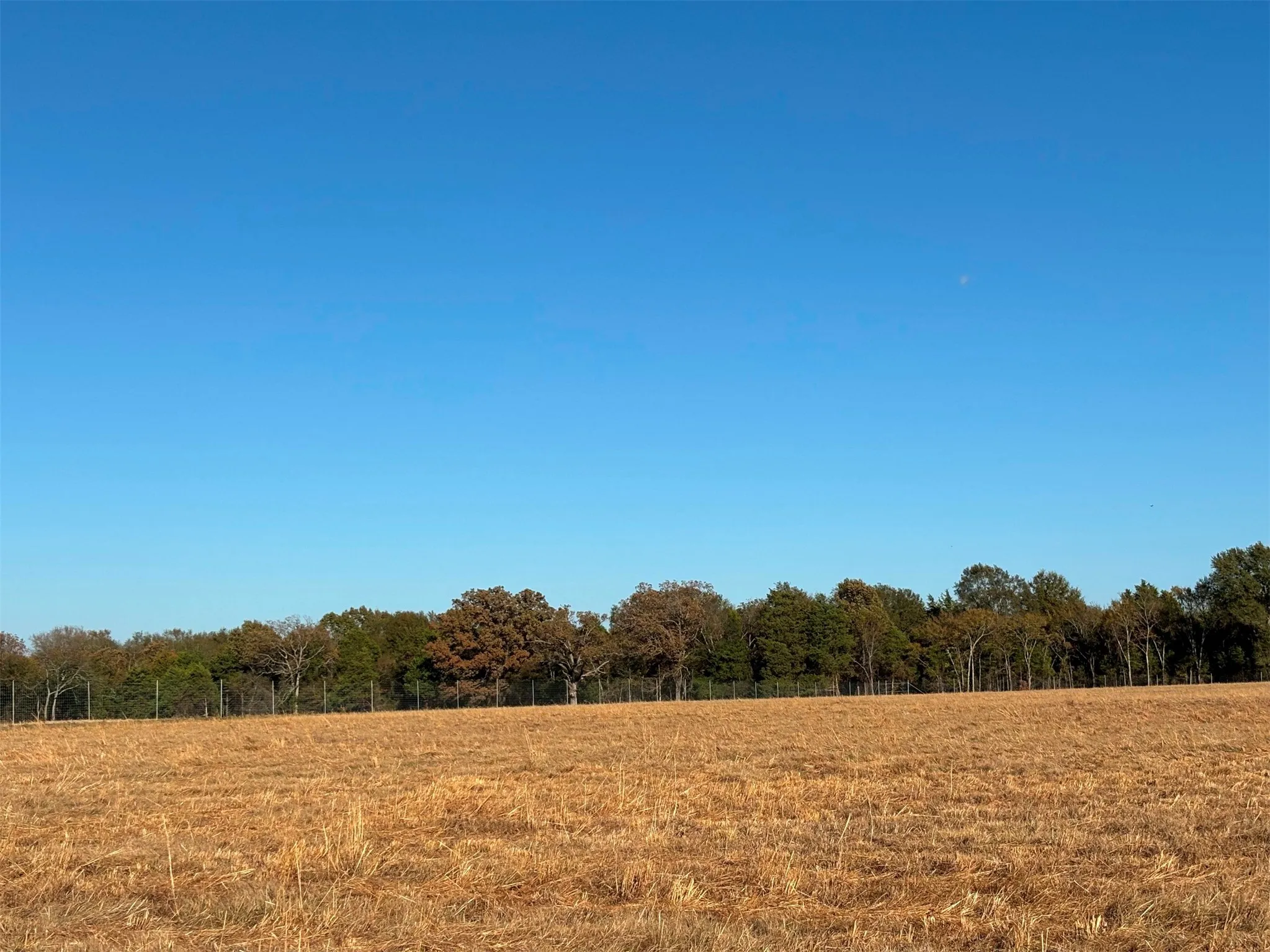 Ranch For Sale in Van Zandt County , 000 FM 1653, Ben Wheeler, Texas 75754, 0, 0, Garage spaces, 0 Sqft, built in 0, Price $650,000, mls#21114811, Real Estate Agent in Ben Wheeler, Homes For Sale in Van Zandt county, Homes For Sale in Ben Wheeler, Realtor in Ben Wheeler Texas, Real Estate Brokerage Independent Realty Texas, Luminita Cordes Realtor