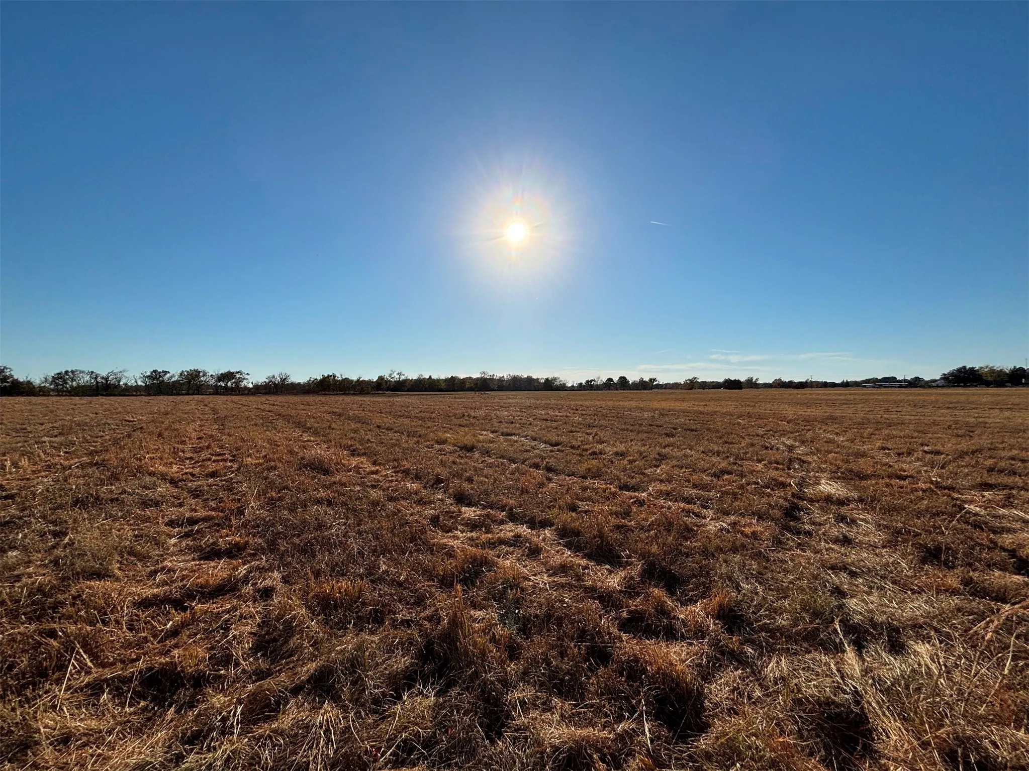 Ranch For Sale in Van Zandt County , 000 FM 1653, Ben Wheeler, Texas 75754, 0, 0, Garage spaces, 0 Sqft, built in 0, Price $650,000, mls#21114811, Real Estate Agent in Ben Wheeler, Homes For Sale in Van Zandt county, Homes For Sale in Ben Wheeler, Realtor in Ben Wheeler Texas, Real Estate Brokerage Independent Realty Texas, Luminita Cordes Realtor