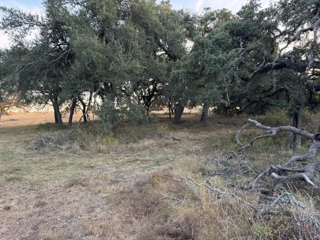 Unimproved Land For Sale in Williamson County , TBD Fm-1105, Georgetown, Texas 78626, 0, 0, Garage spaces, 0 Sqft, built in 0, Price $5,810,000, mls#21114676, Real Estate Agent in Georgetown, Homes For Sale in Williamson county, Homes For Sale in Georgetown, Realtor in Georgetown Texas, Real Estate Brokerage Independent Realty Texas, Luminita Cordes Realtor