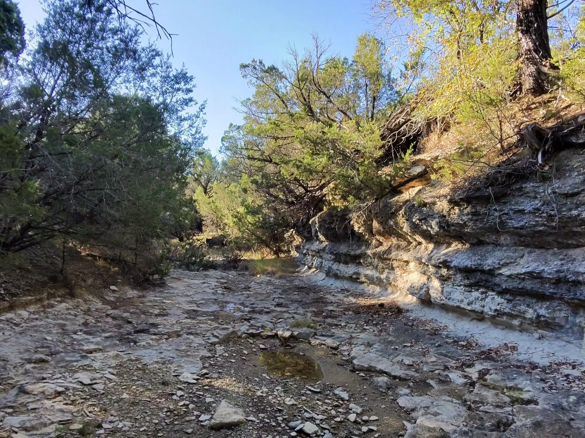 Ranch For Sale in Erath County , TBD 200 ACRES FM-2481 Road 2481, Stephenville, Texas 76401, 0, 0, Garage spaces, 0 Sqft, built in 0, Price $1,999,000, mls#21112940, Real Estate Agent in Stephenville, Homes For Sale in Erath county, Homes For Sale in Stephenville, Realtor in Stephenville Texas, Real Estate Brokerage Independent Realty Texas, Luminita Cordes Realtor